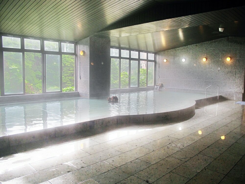 Фото Hotel New Ohruri