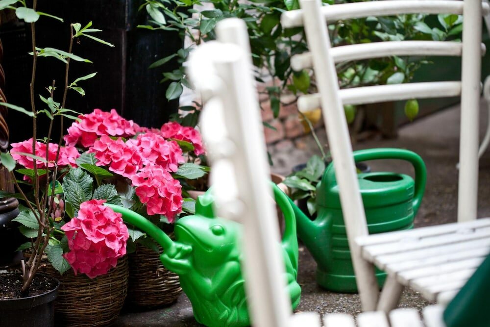 Фото Hotel Schwalbe