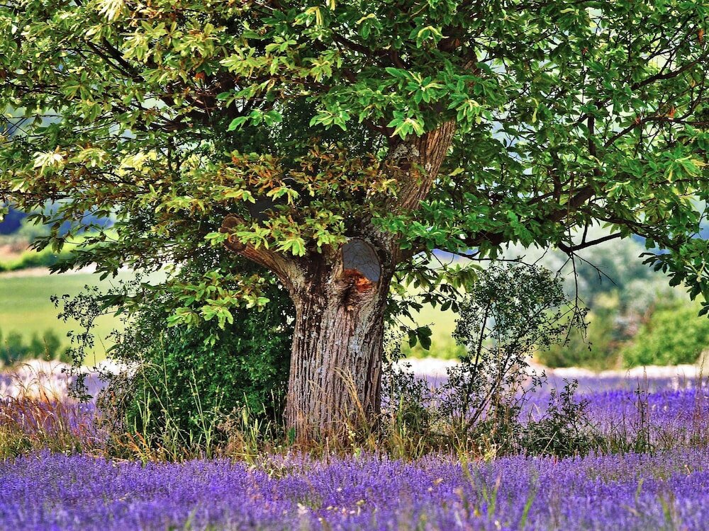 Фото hotelF1 Aix en Provence Sainte Victoire