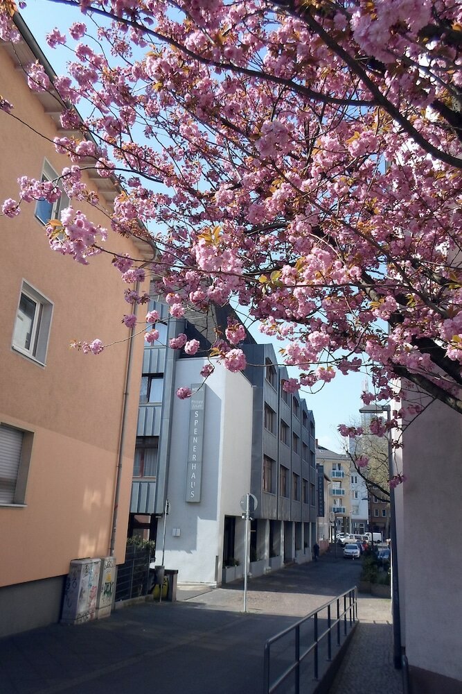 Фото Hotel Spenerhaus