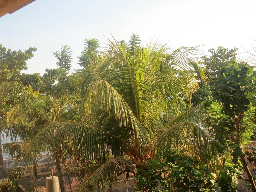 Фото Amed Sari Beach Guesthouse