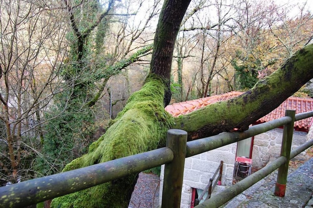 Фото Aldeia do Pontido