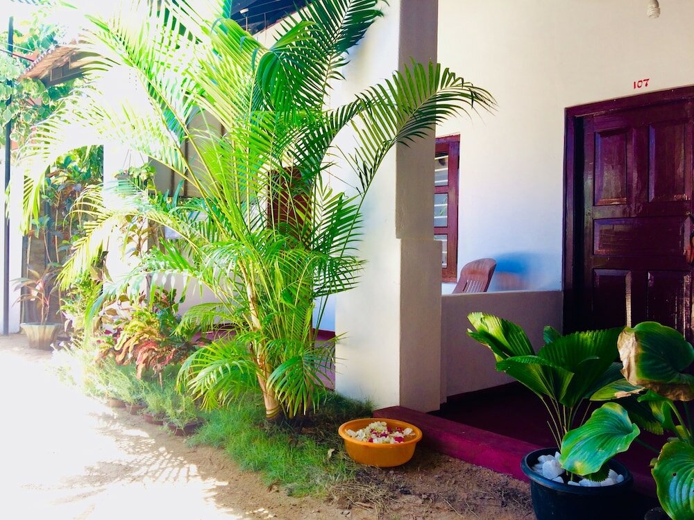 Фото Tropicana homestay