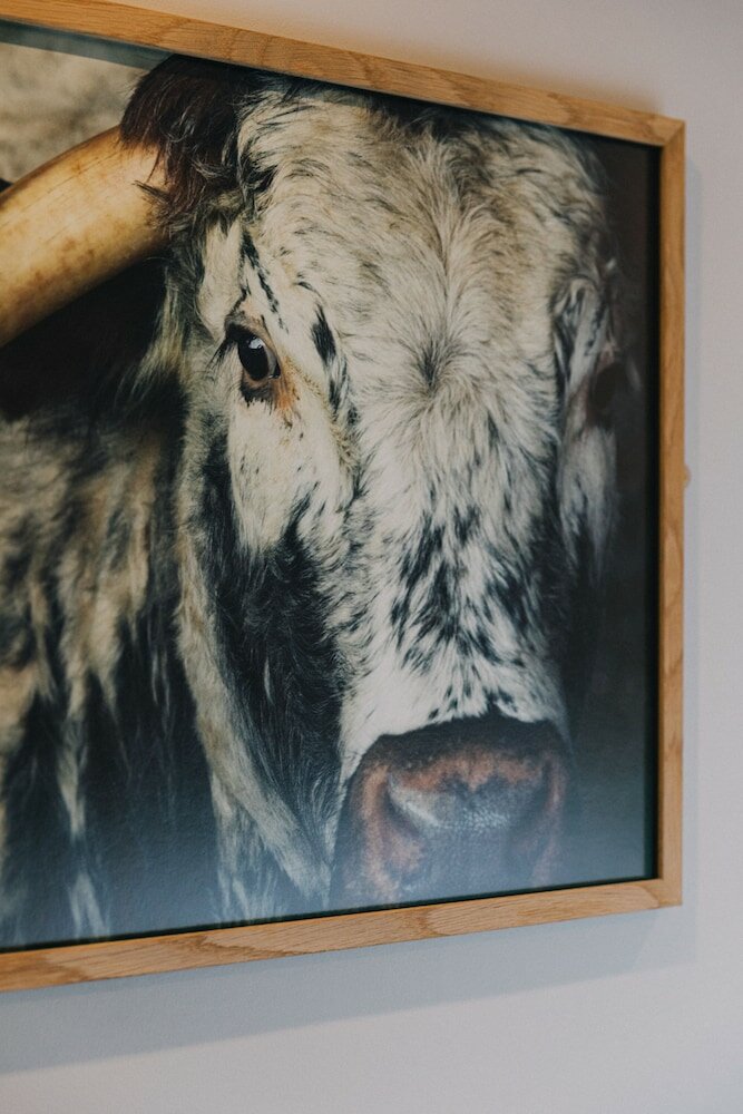 Фото The Pointer