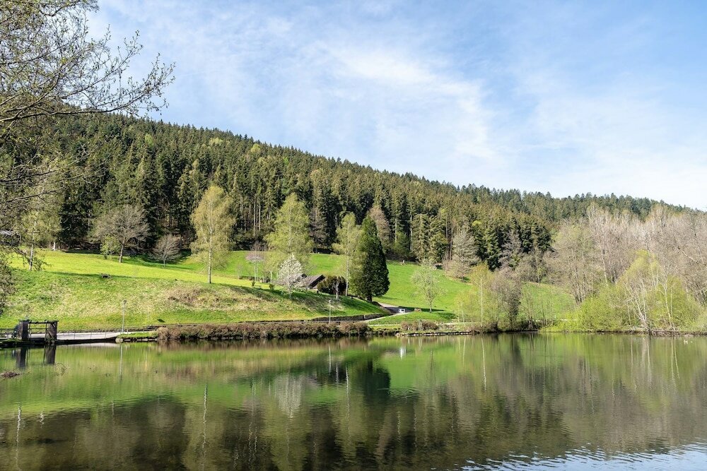 Фото Hotel Rössle Berneck