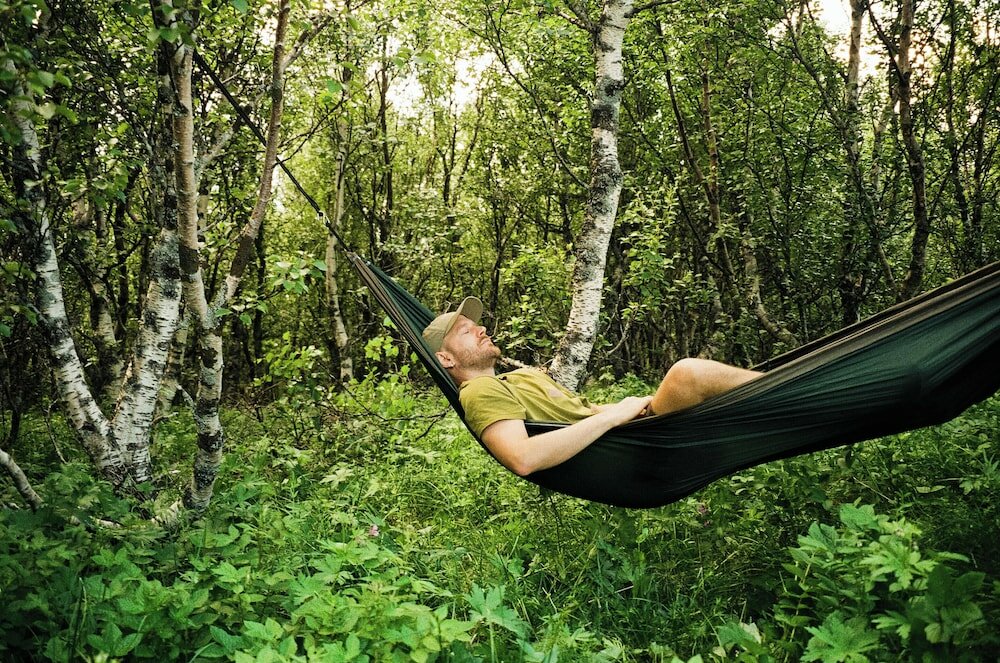 Фото Wood Hotel Bodø