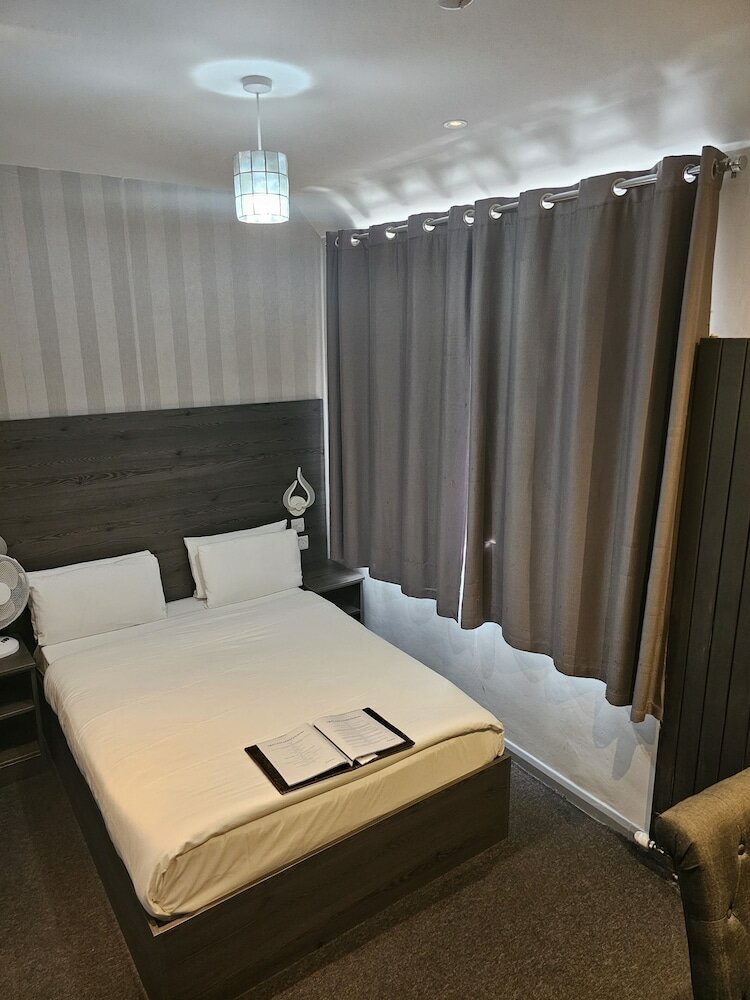 Фото Casuarina Tree