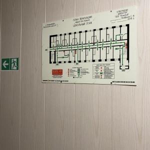 Фото Гостиница Лососинская