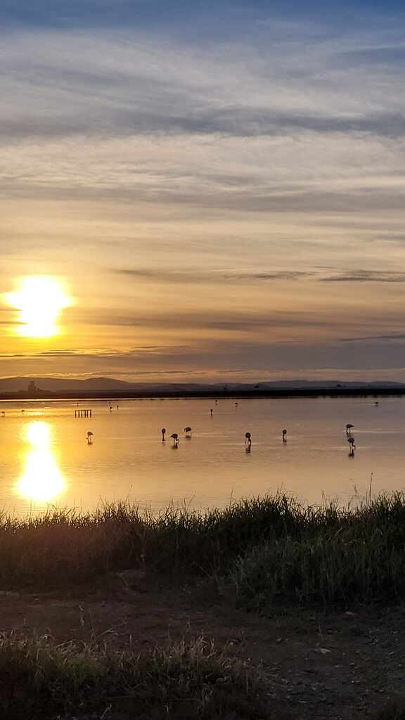Exhibition center Kizilirmak Delta Bird Paradise, Bafra, photo
