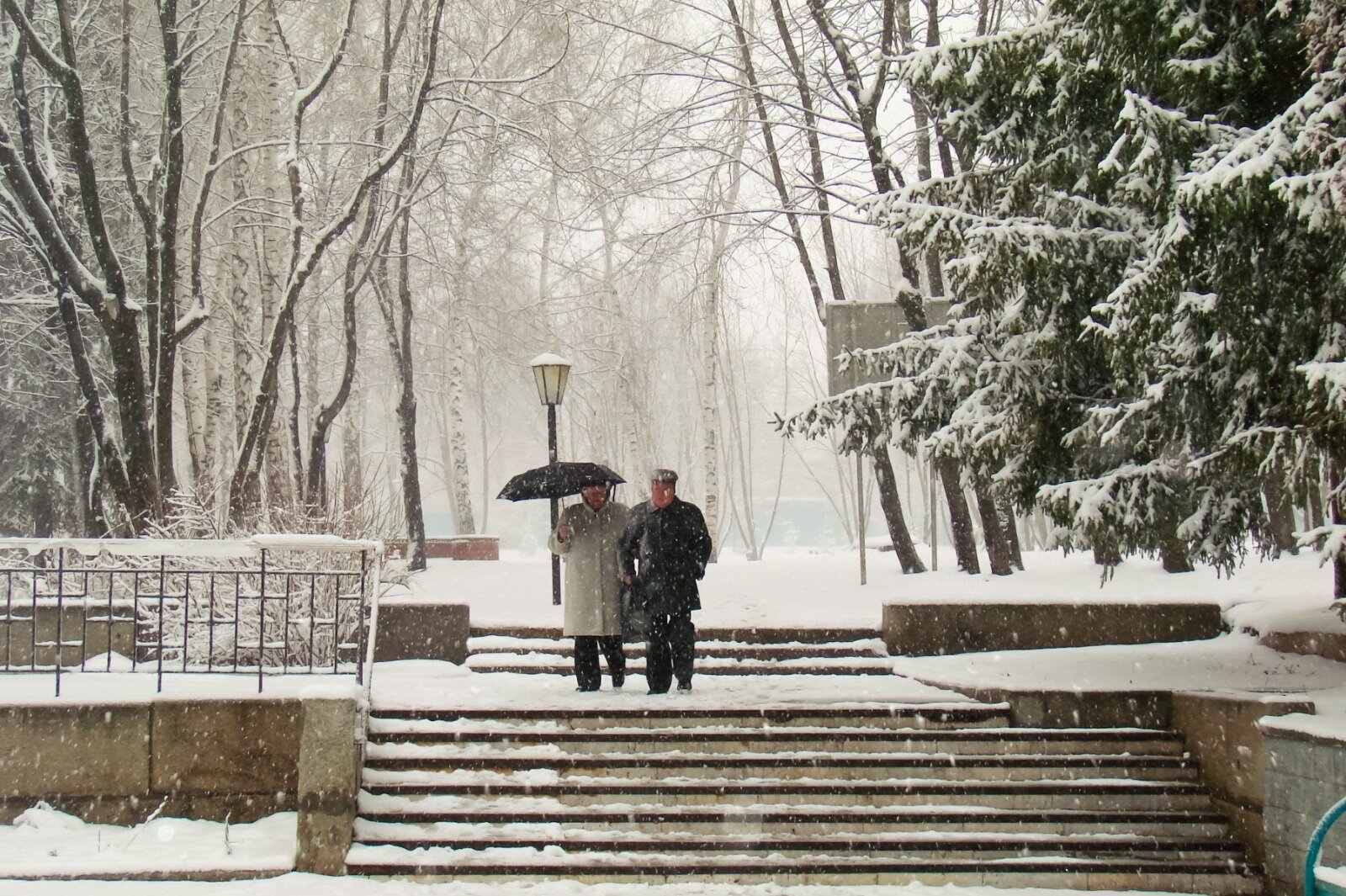 Фото Зеленая Роща