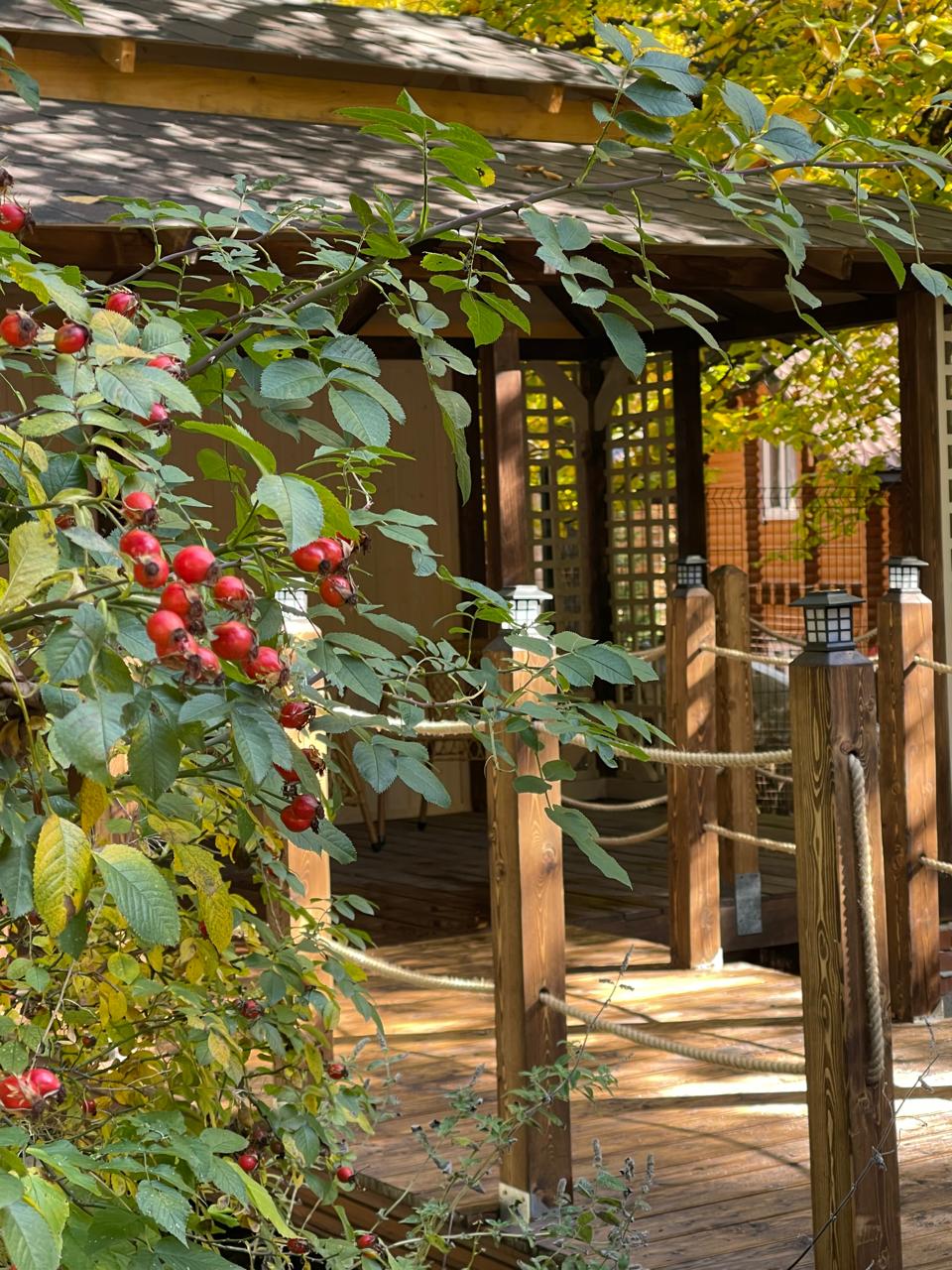 Фото Chalet Monte