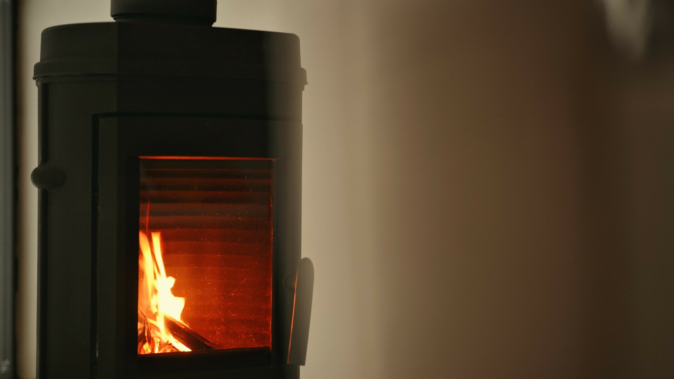 Фото Место под соснами