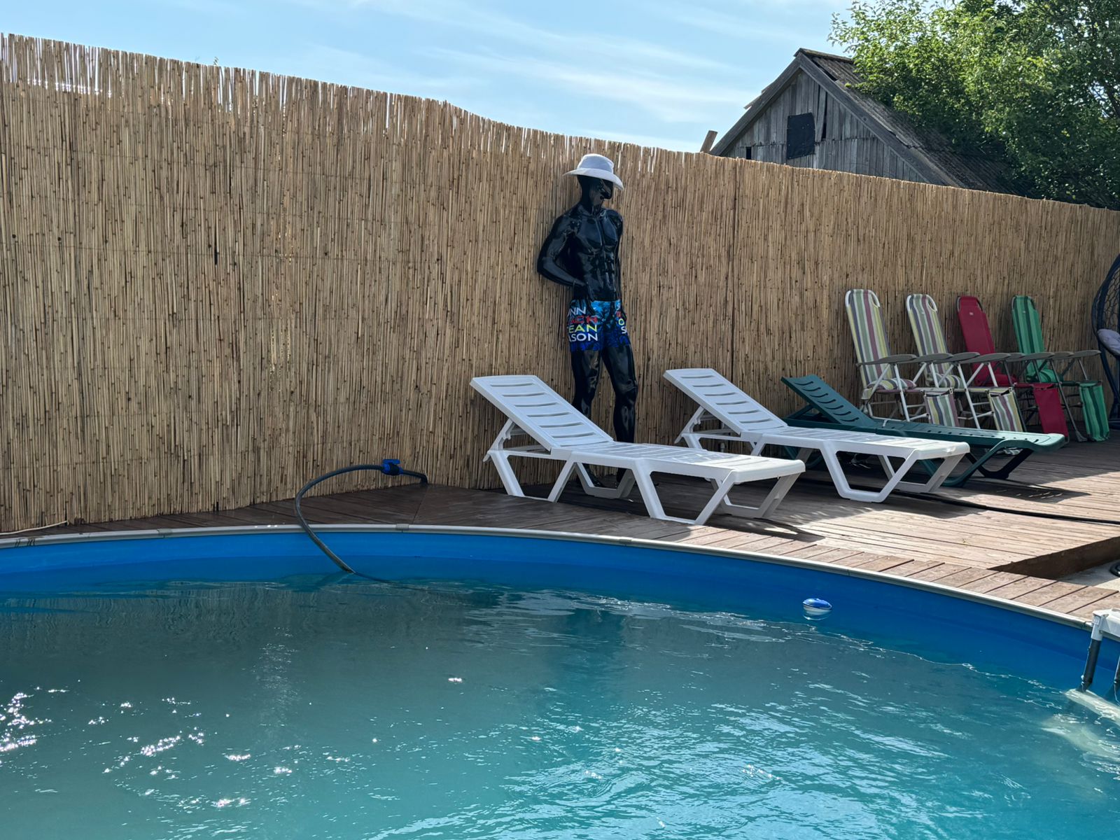 Фото Ростовчанка