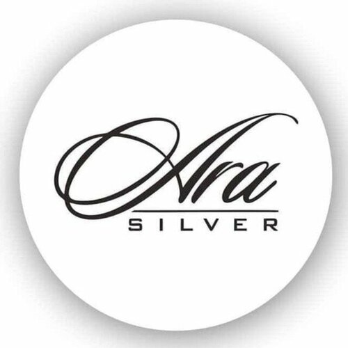 Ara Silver Fotoğraf 4