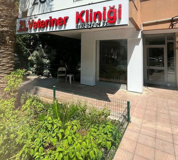 Veterinary clinic Yusuf Sayin Veterinary Clinic, Antalya, photo