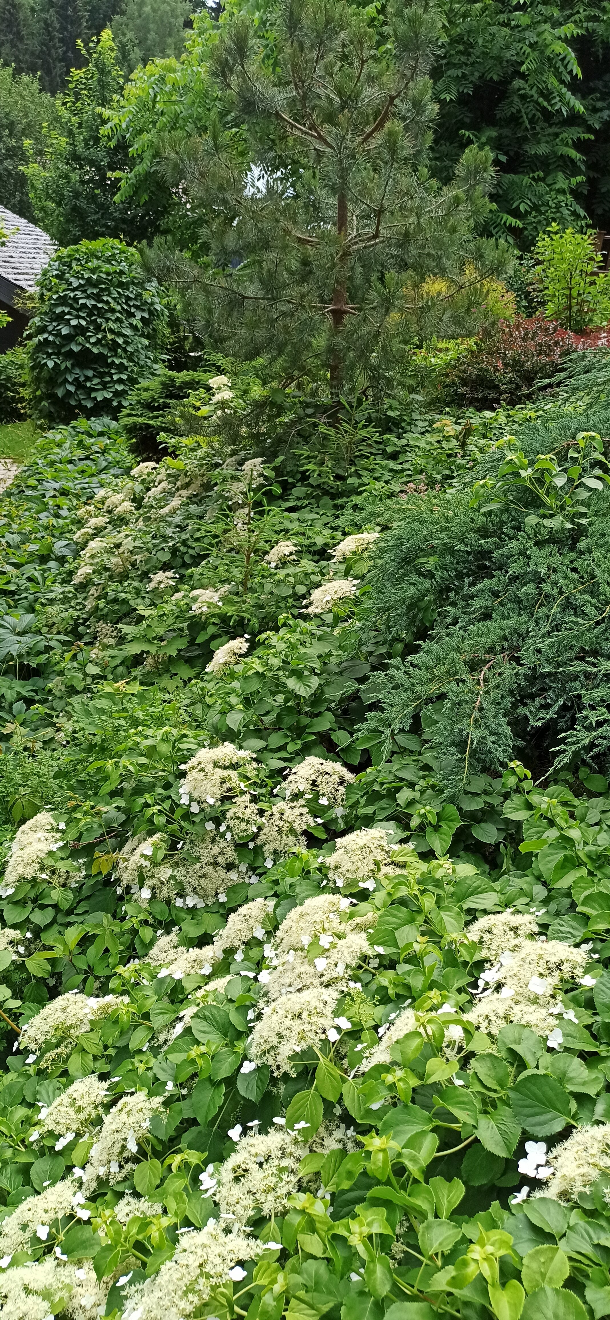 Фото Волга-Volga