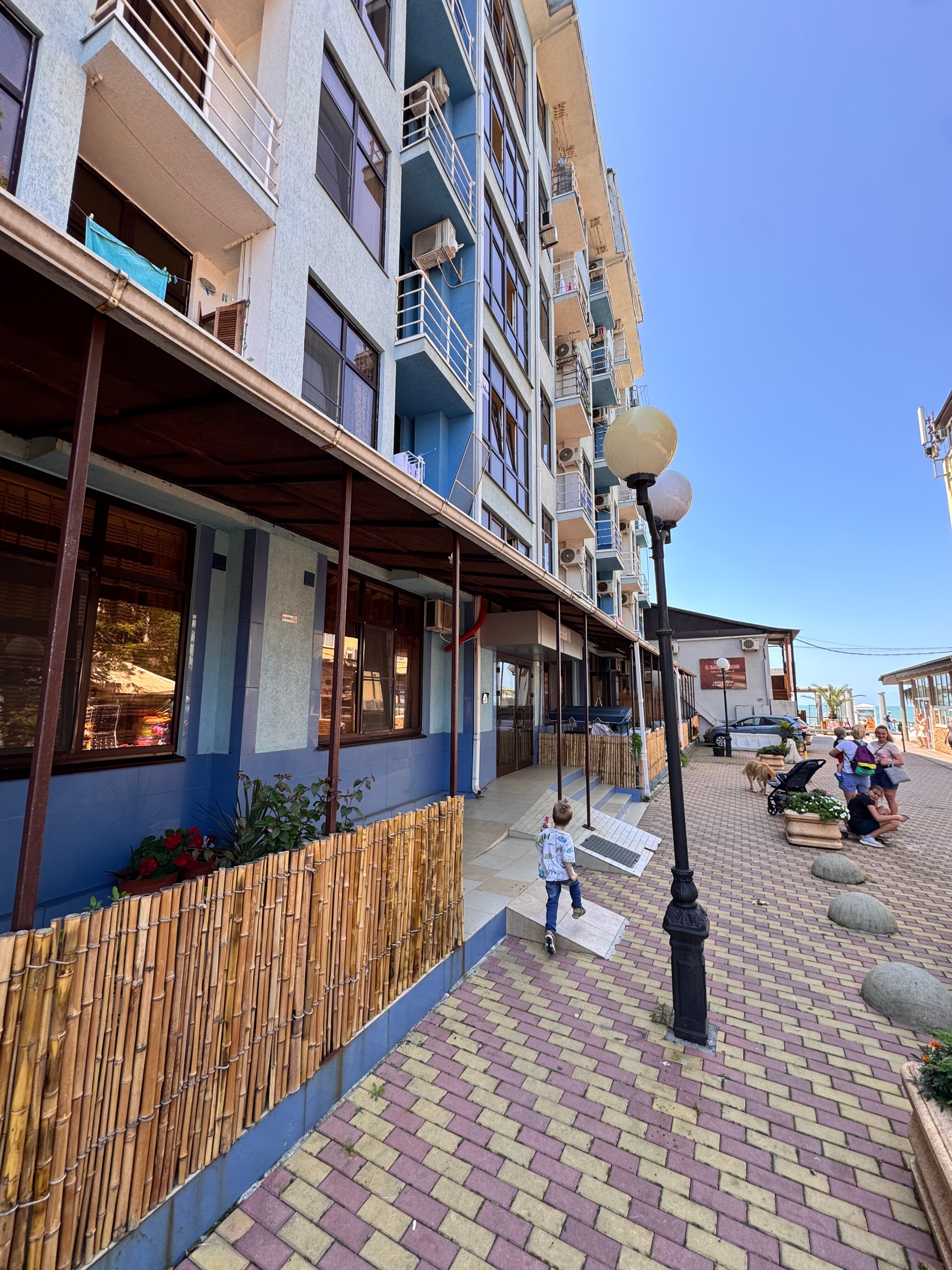 Фото Дельфин