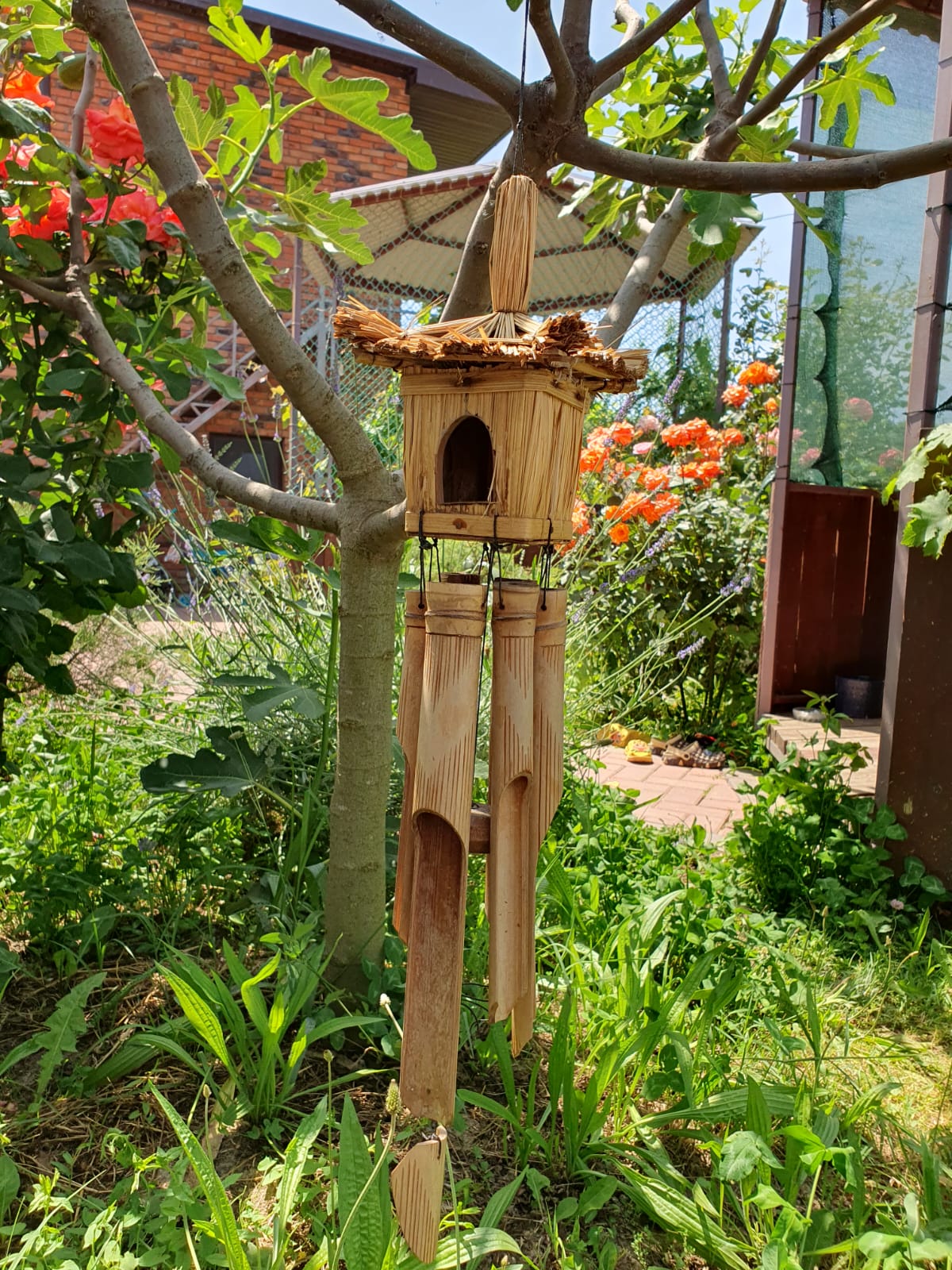 Фото Прованс