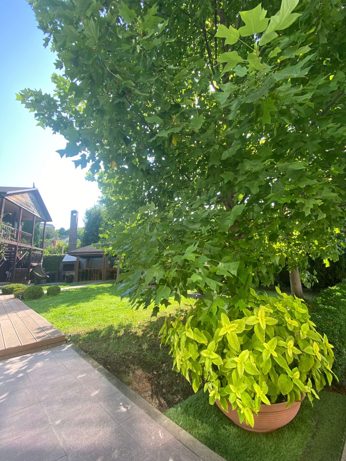 Фото Гостевой дом Агой