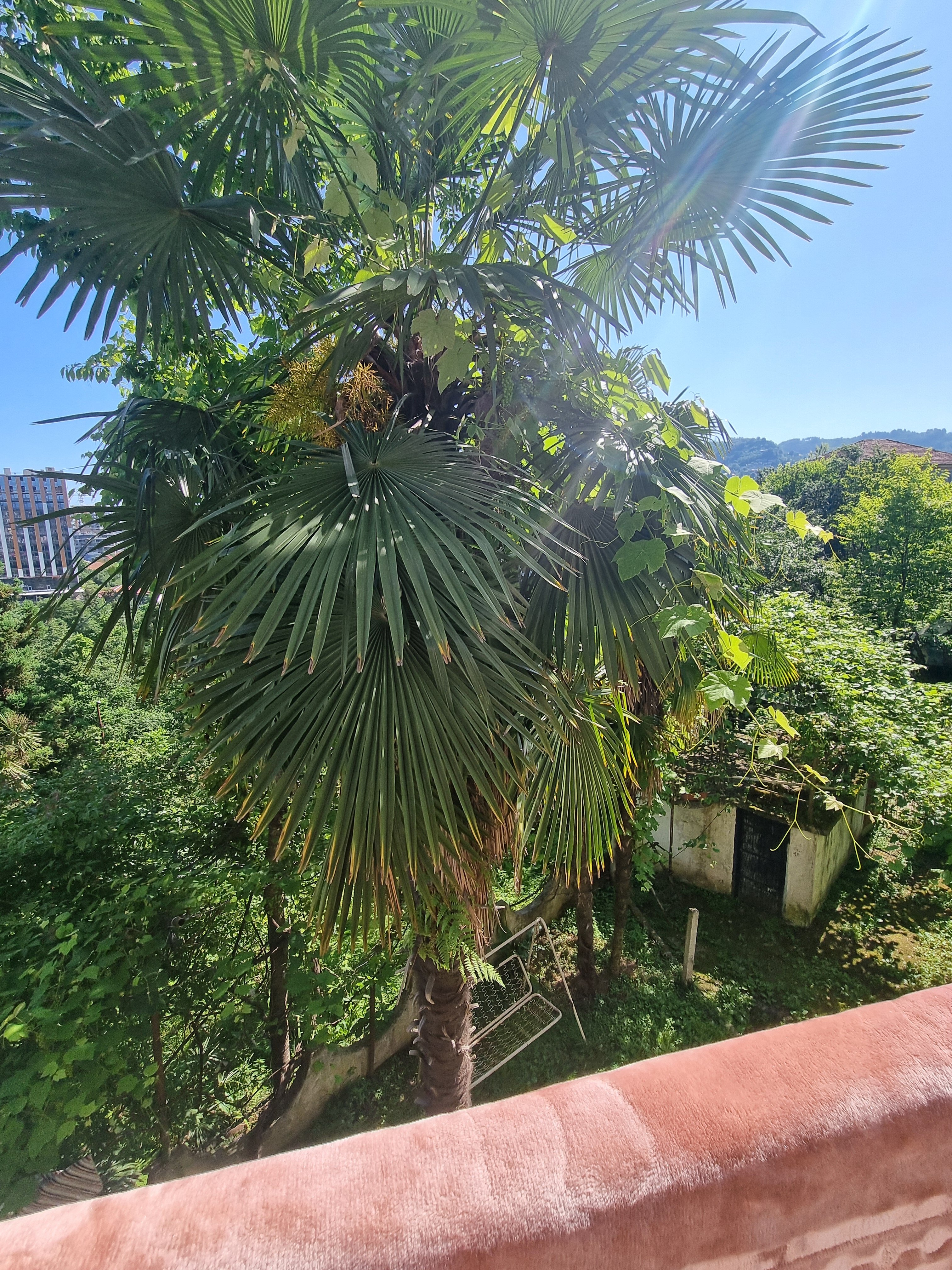 Фото SV Hotel Batumi