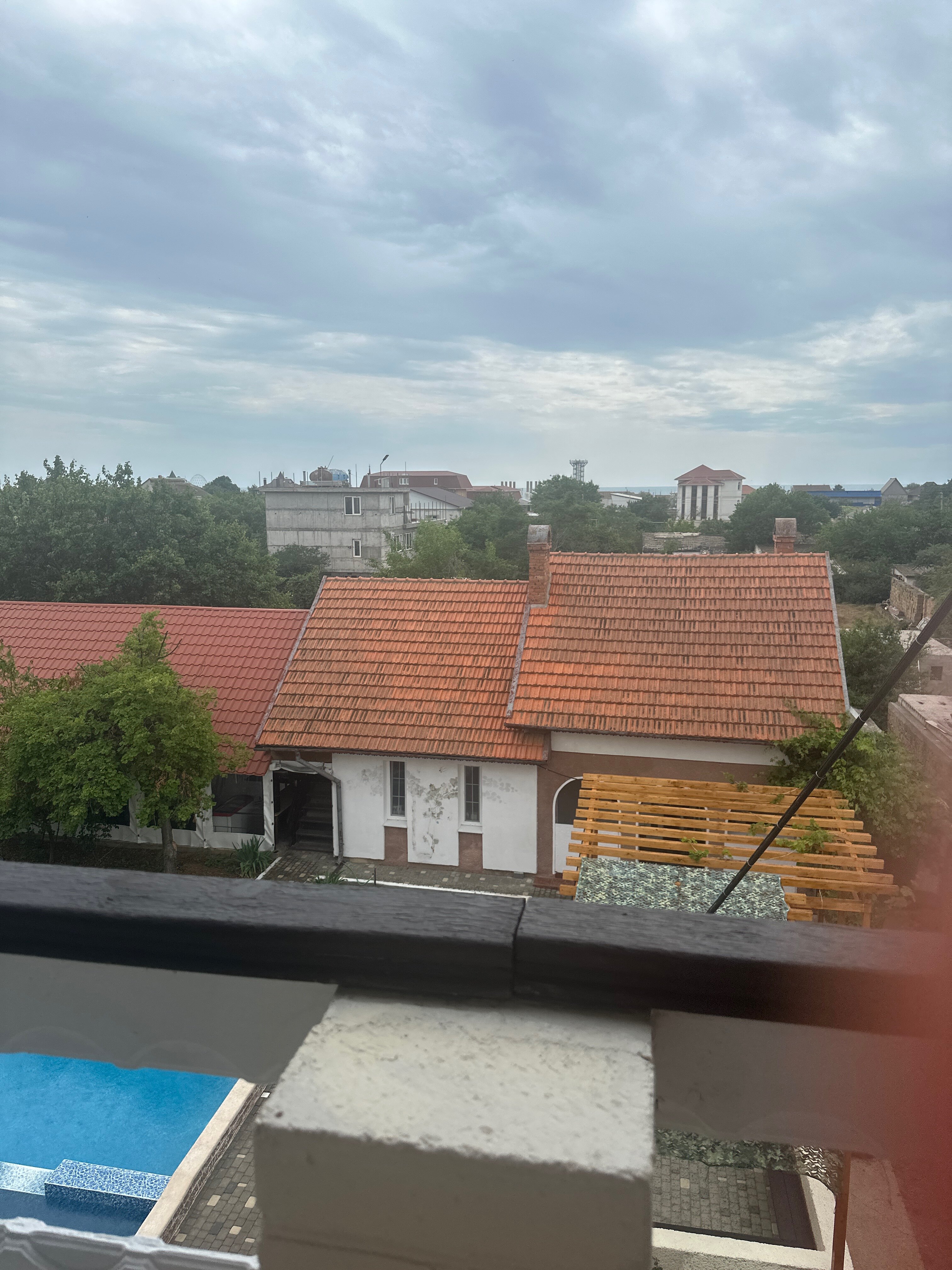 Фото Купава