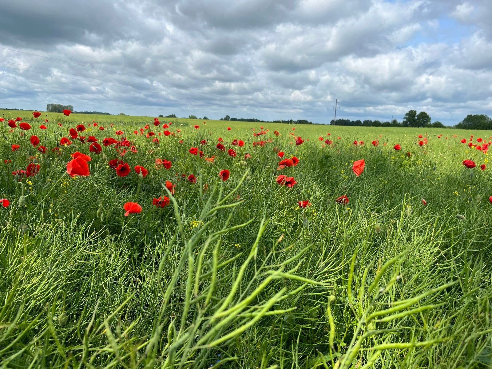 Фото От края до края