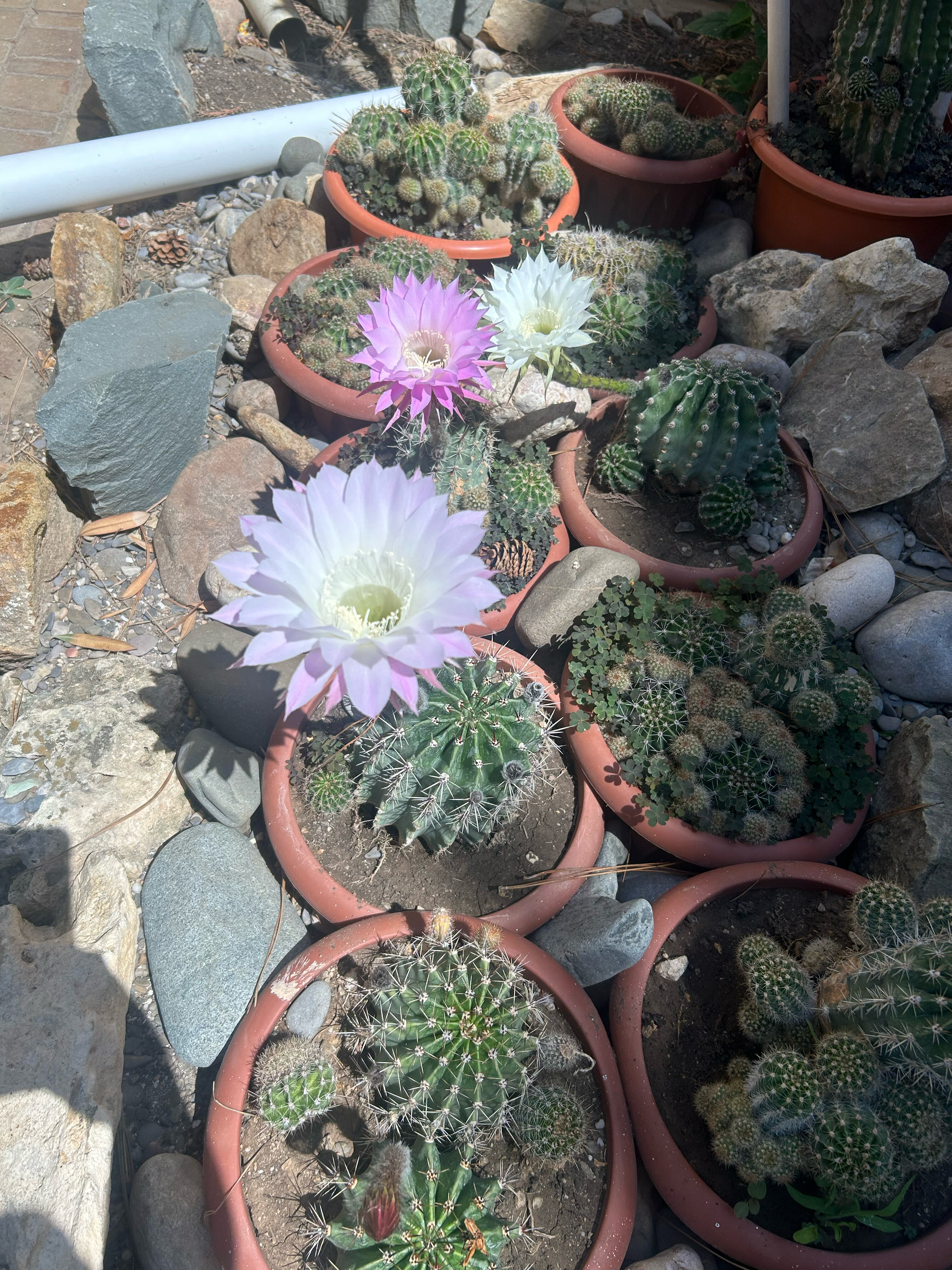 Фото Рассвет