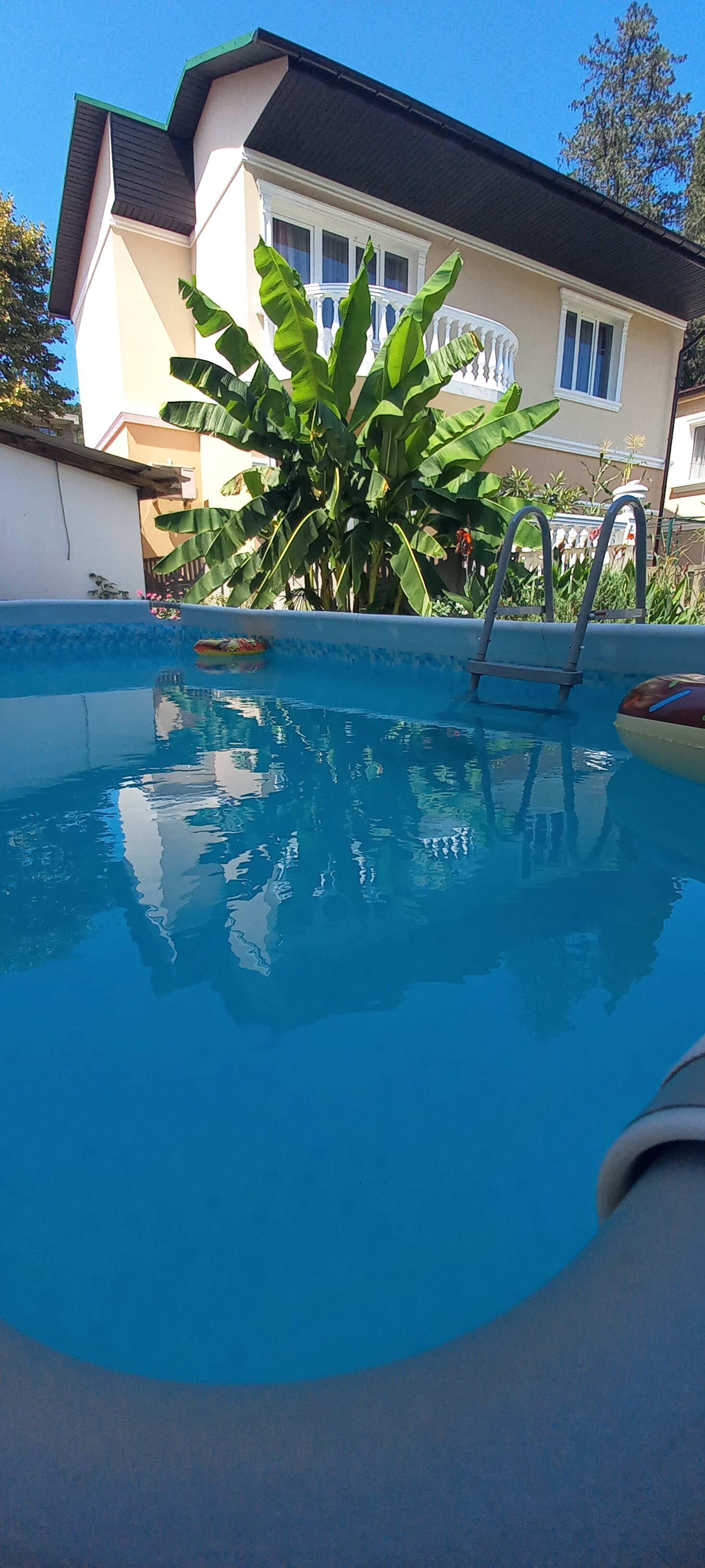 Фото Анжелика