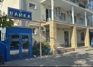 Чайка