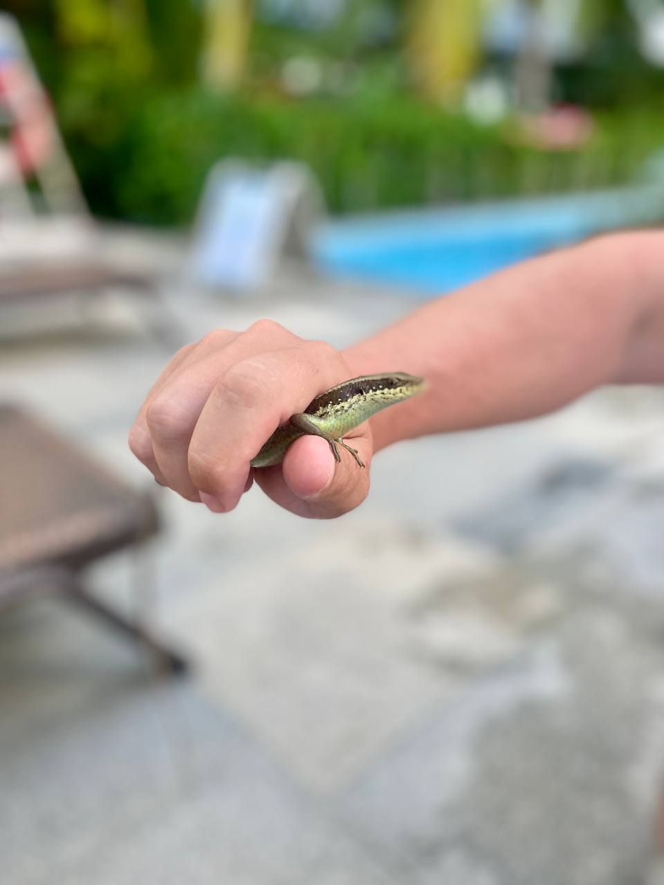 Фото Ascott Dadonghai Bay Sanya