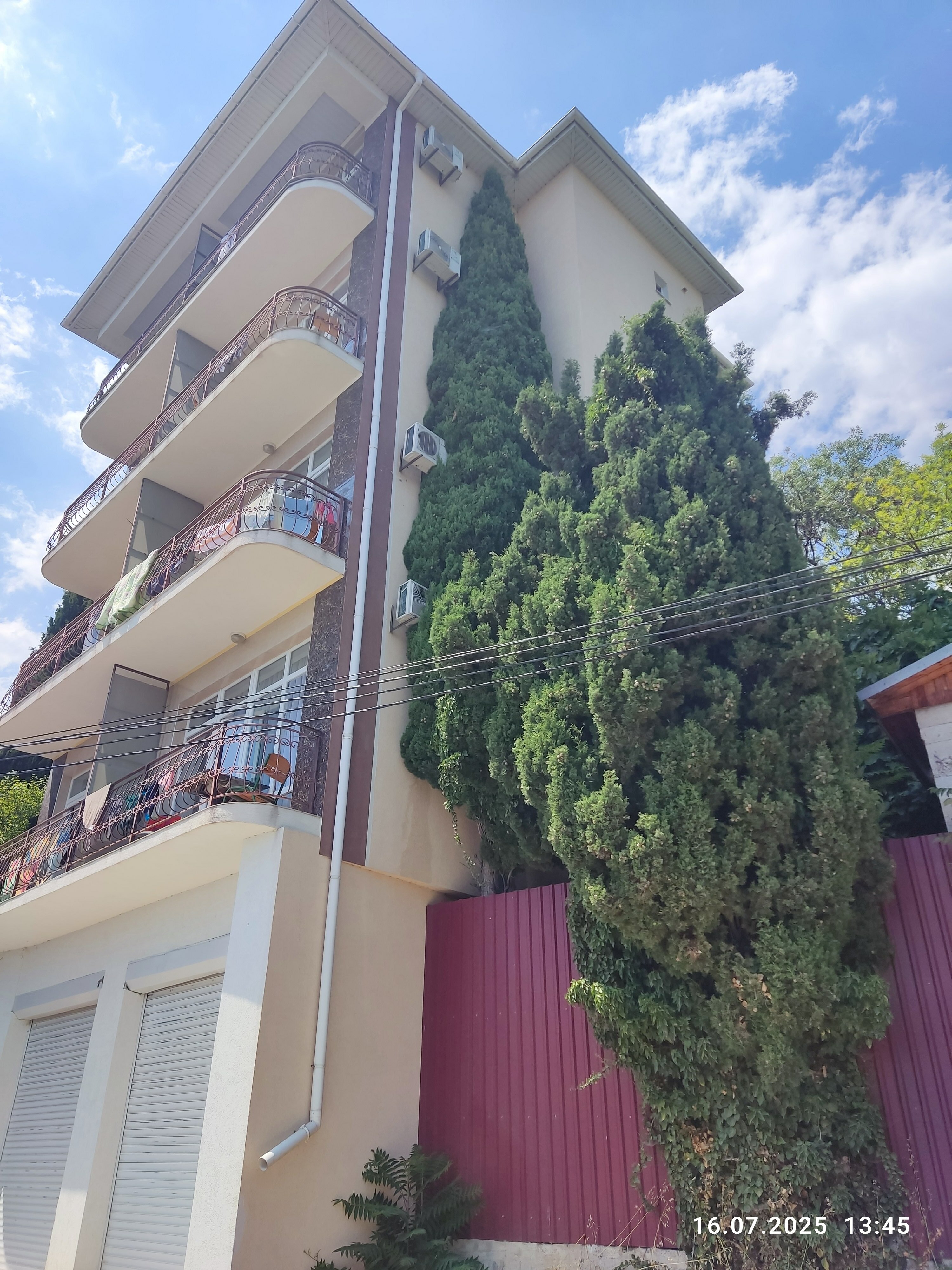 Фото Магнолия