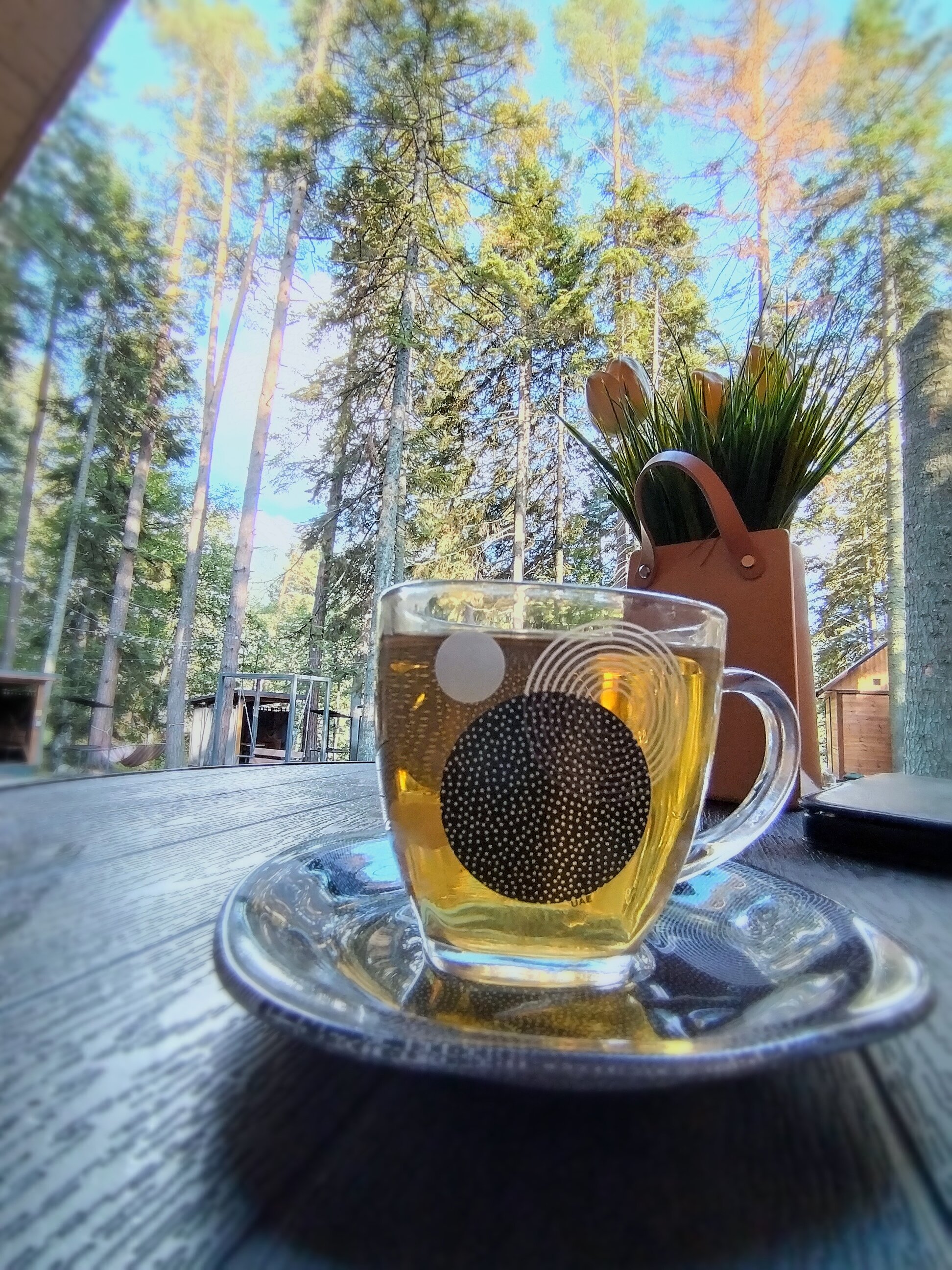 Фото Хижина