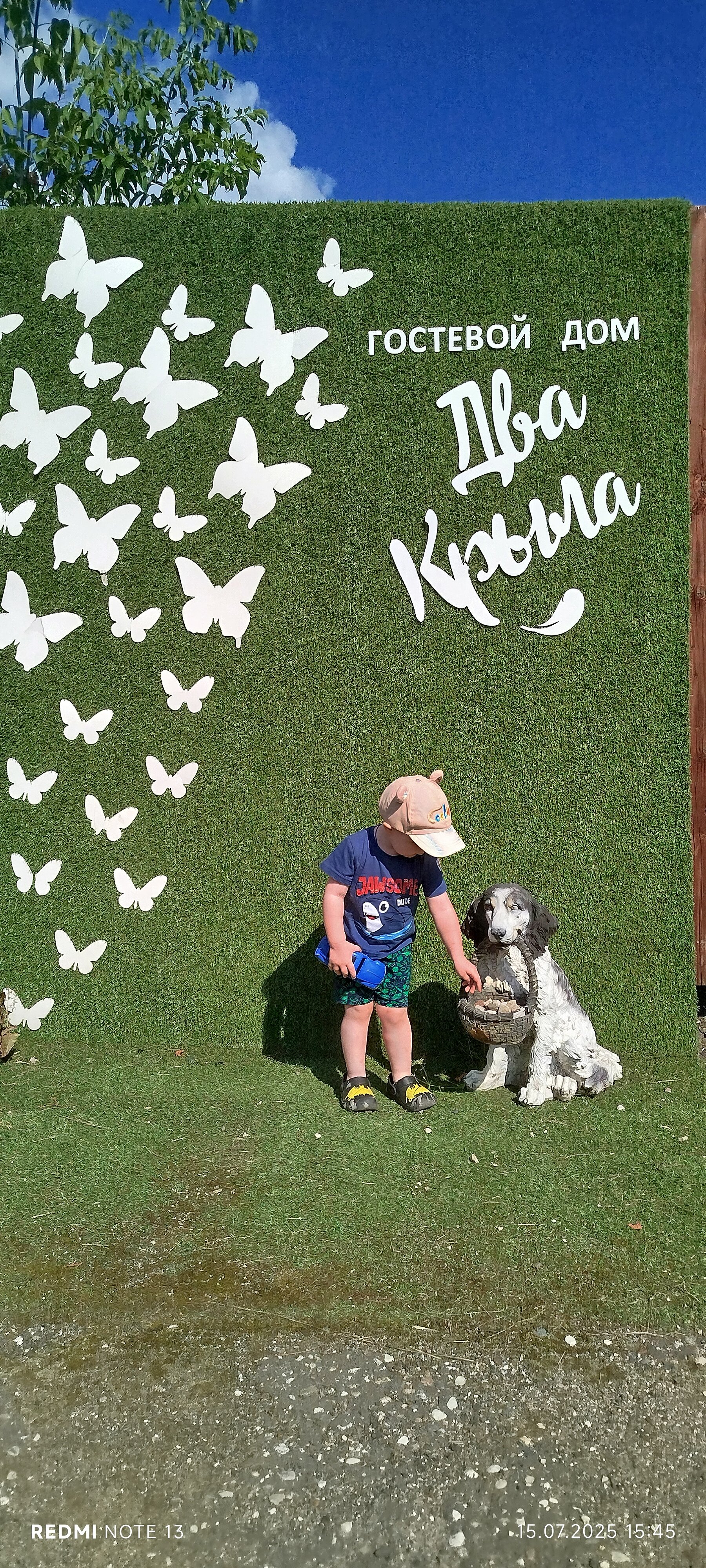 Фото Два крыла