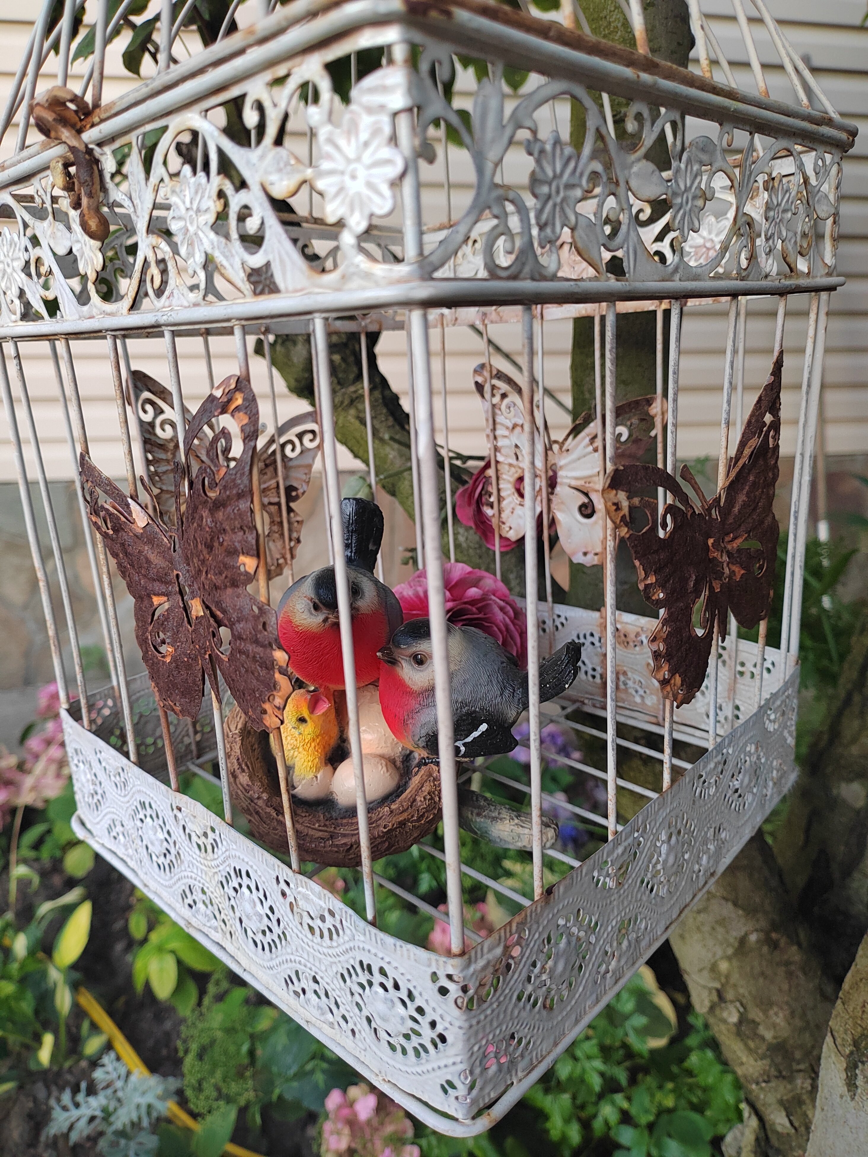 Фото Димерчи