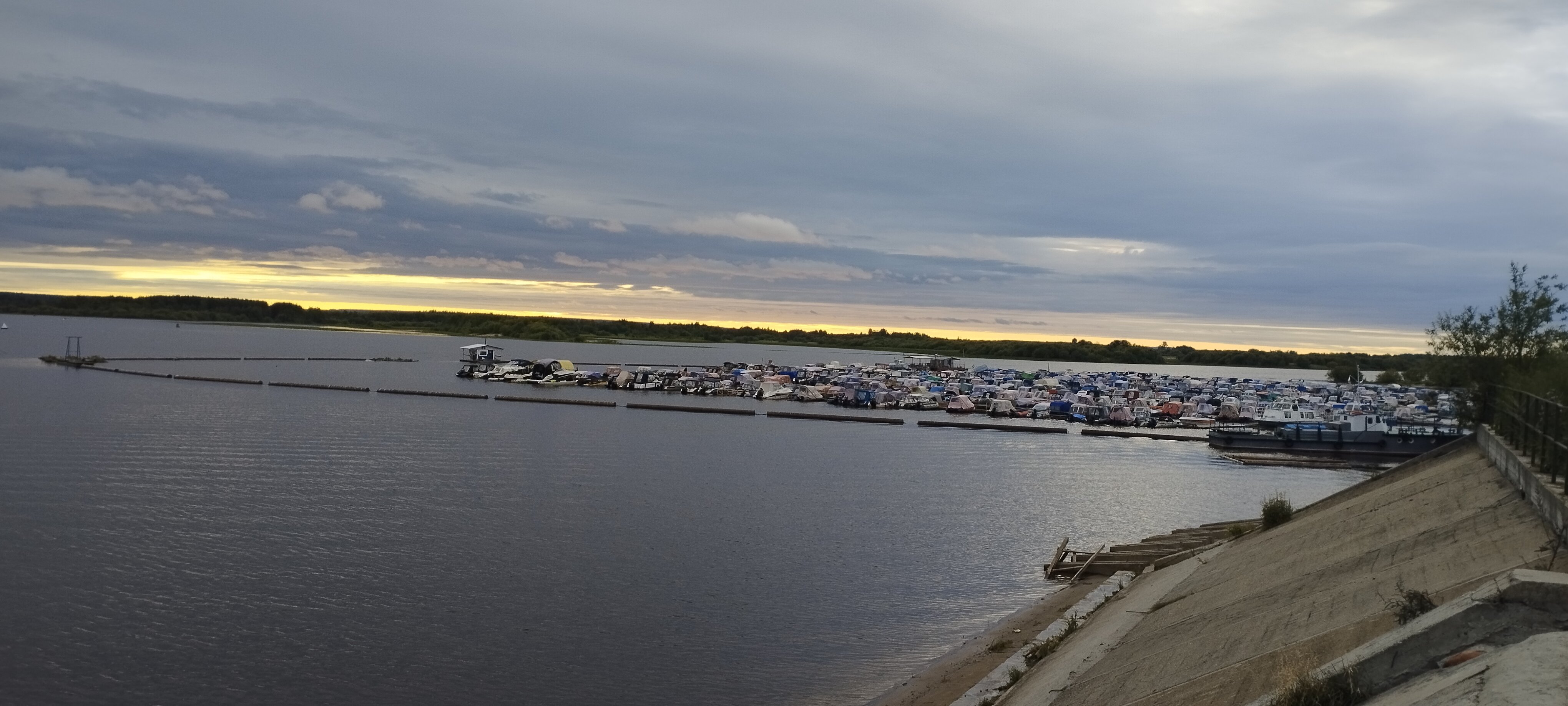 Фото Дубрава