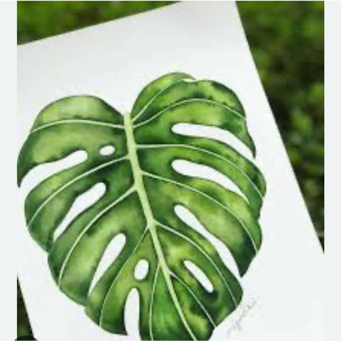 Студия красоты