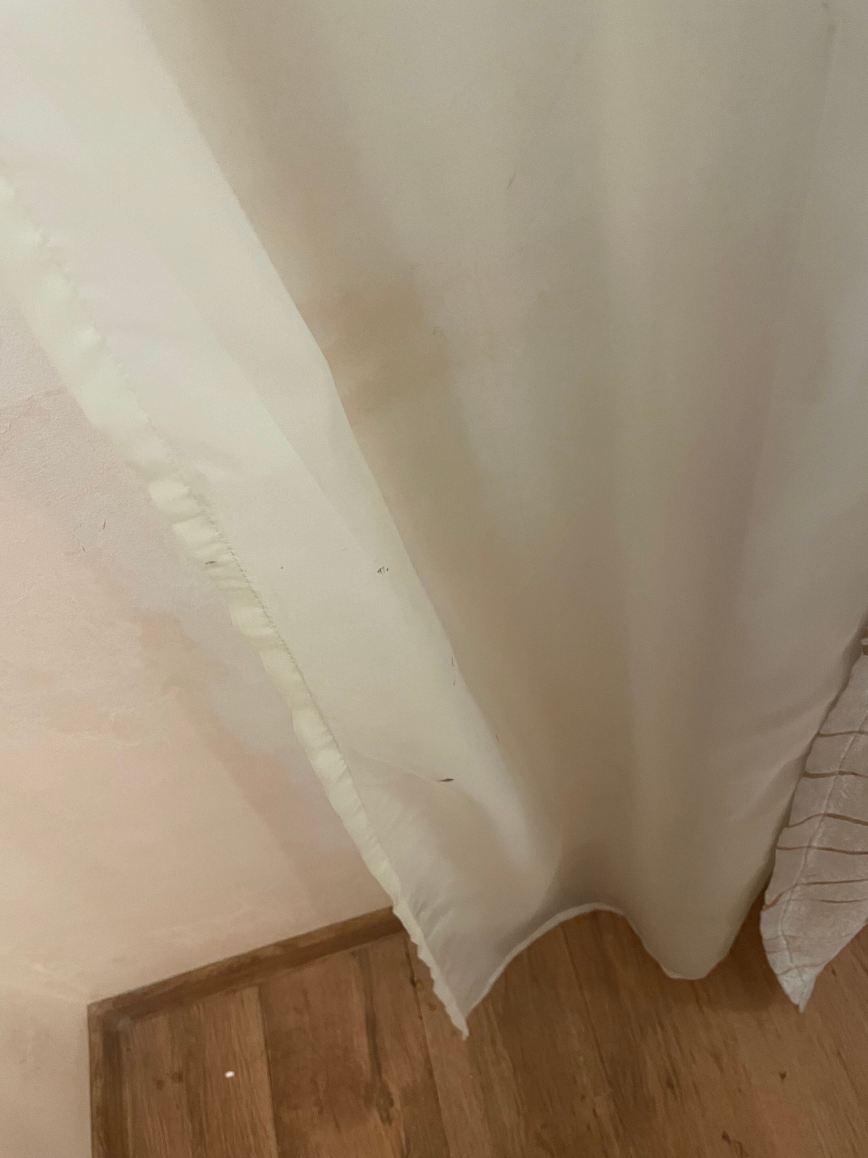 Фото Белая Панама