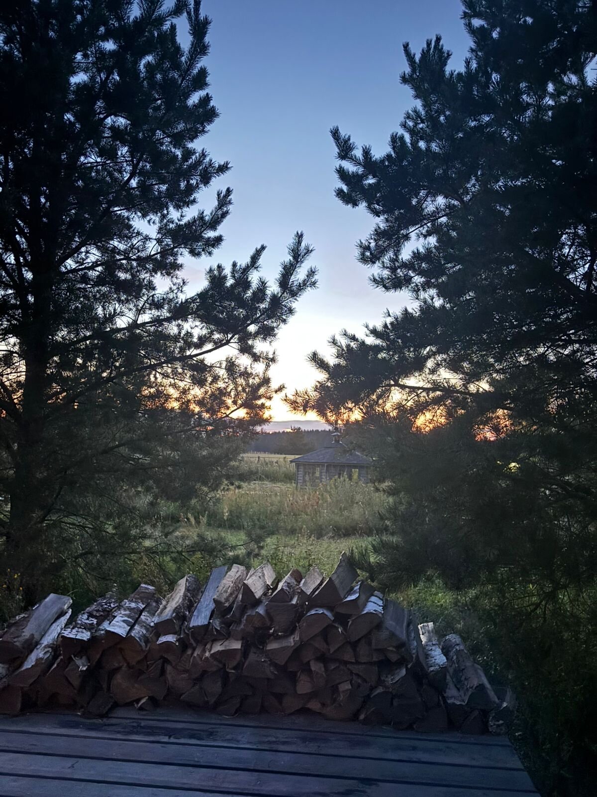 Фото Точка Дзен