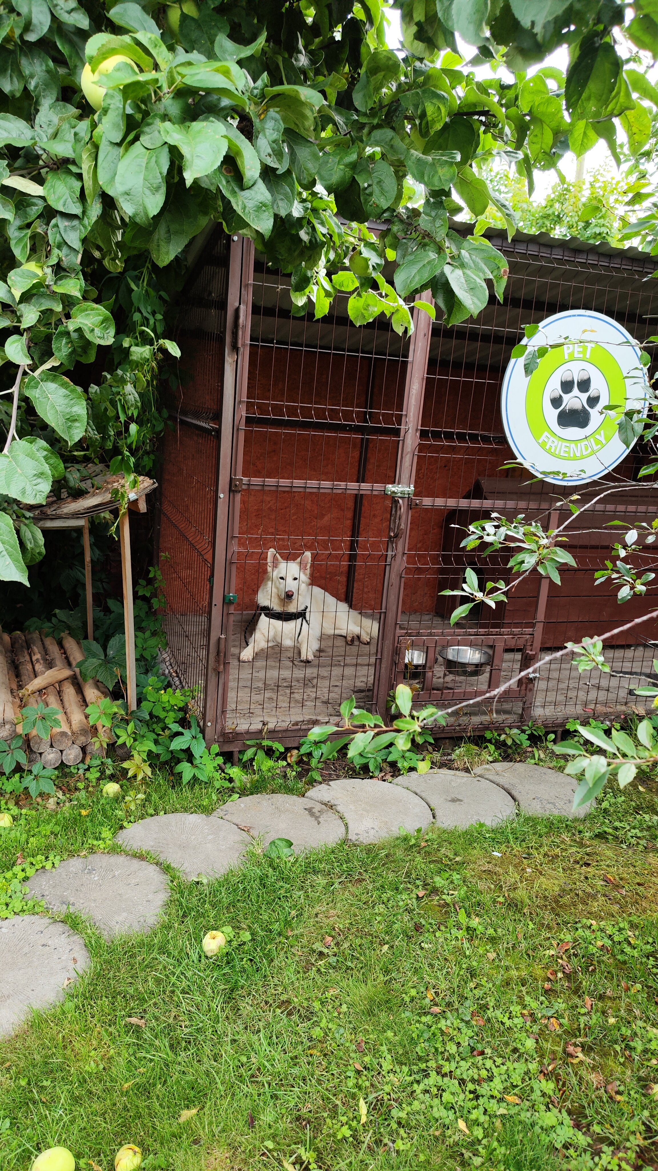 Фото Нагорное