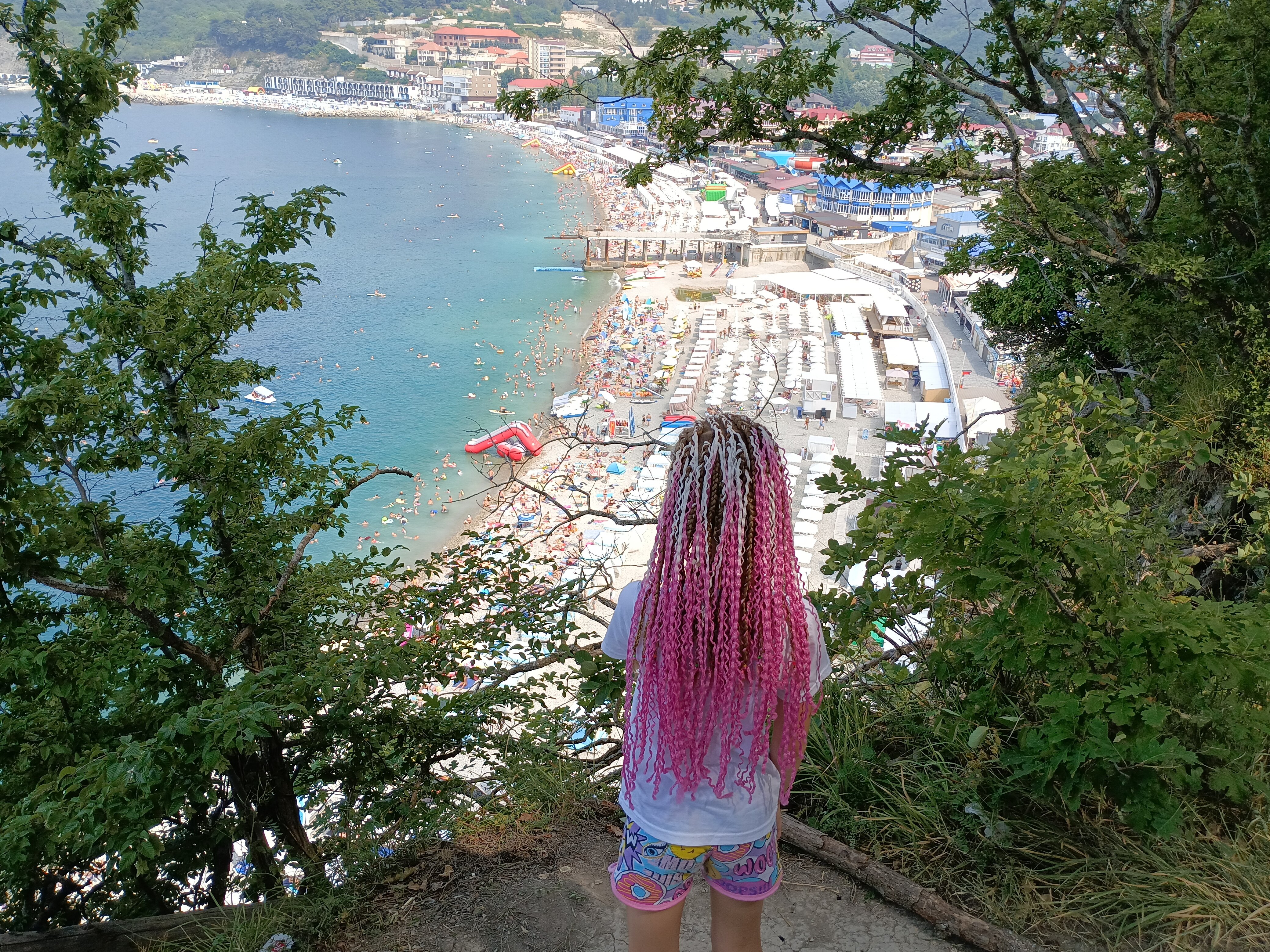 Фото Кипарис