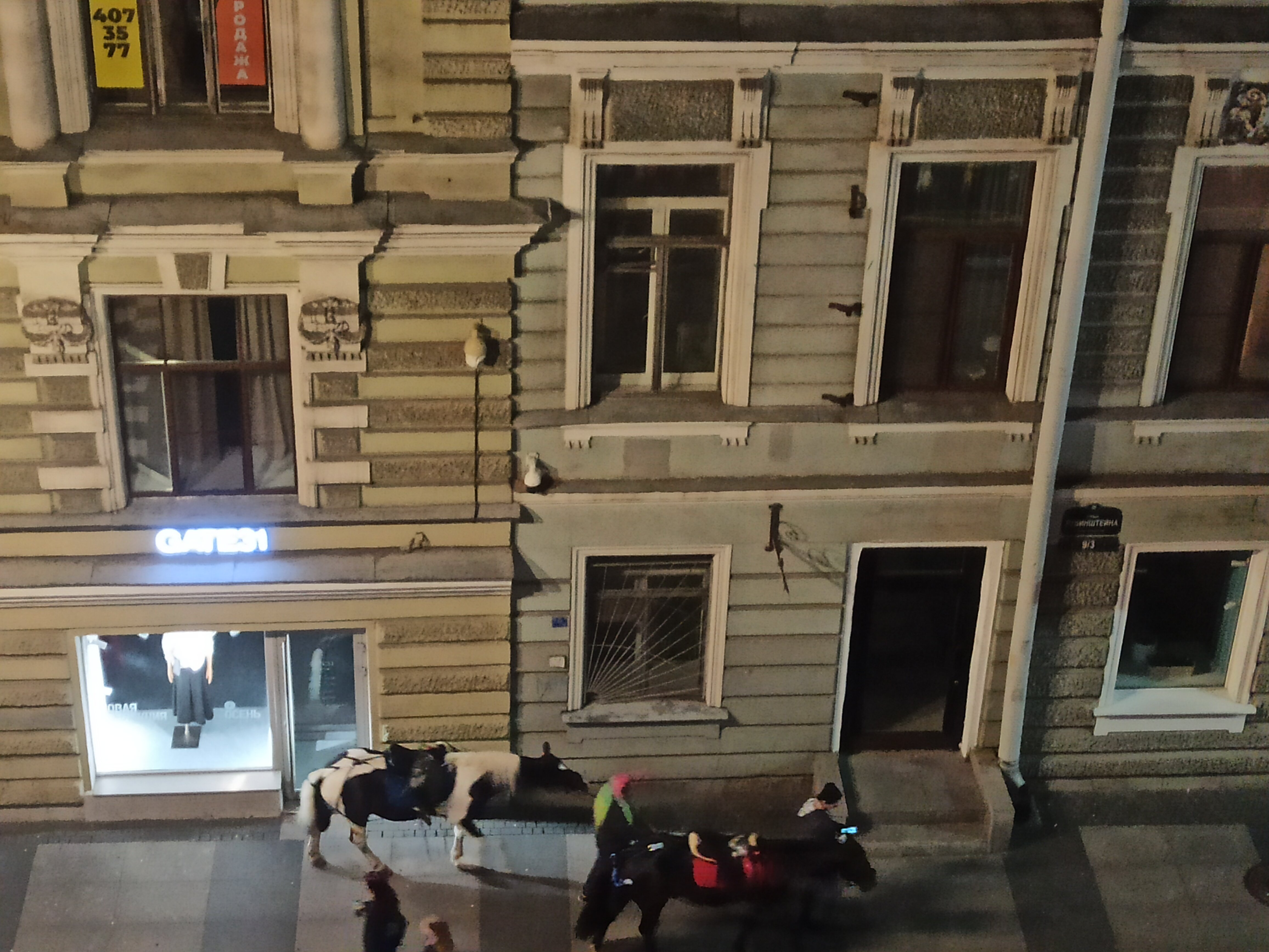 Фото Петербургская Элегия