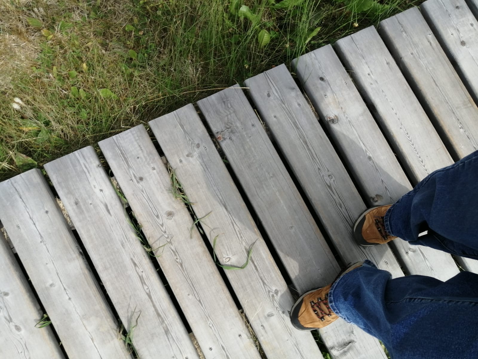 Фото Рыбацкая Артель