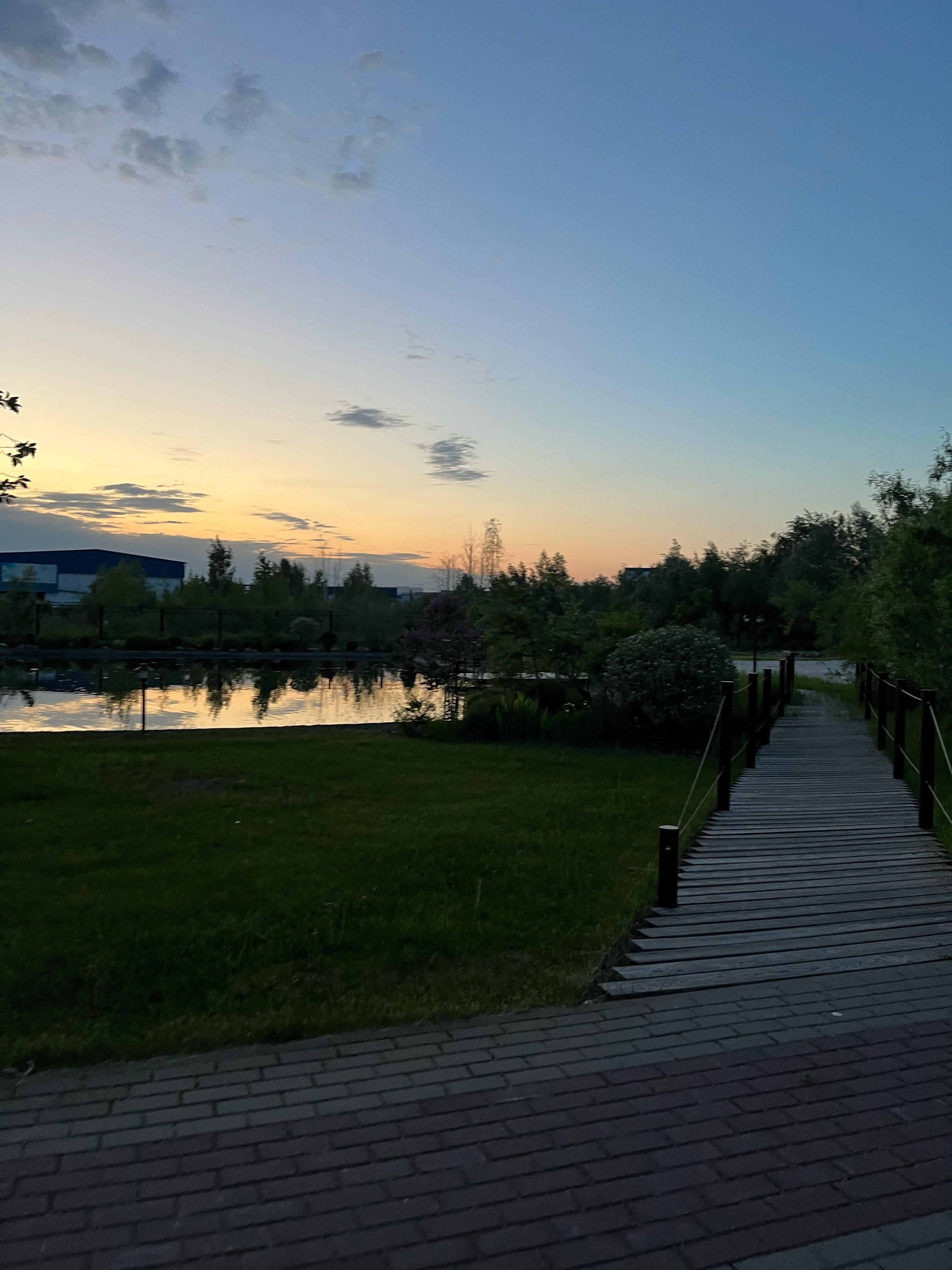 Фото Колибри