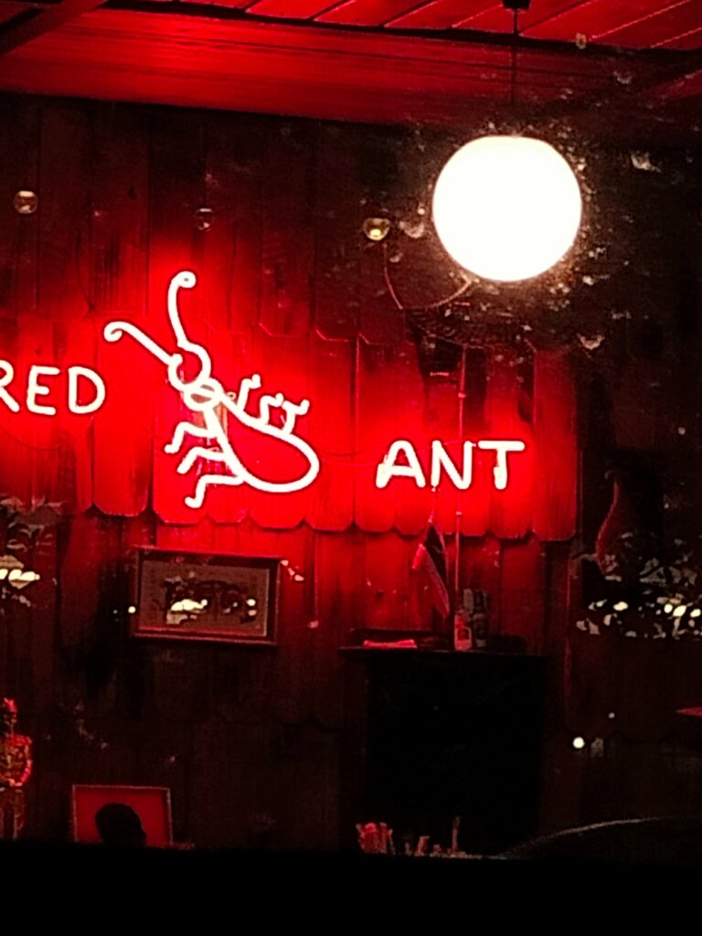 Cafe Красный Муравей, Pattaya, photo