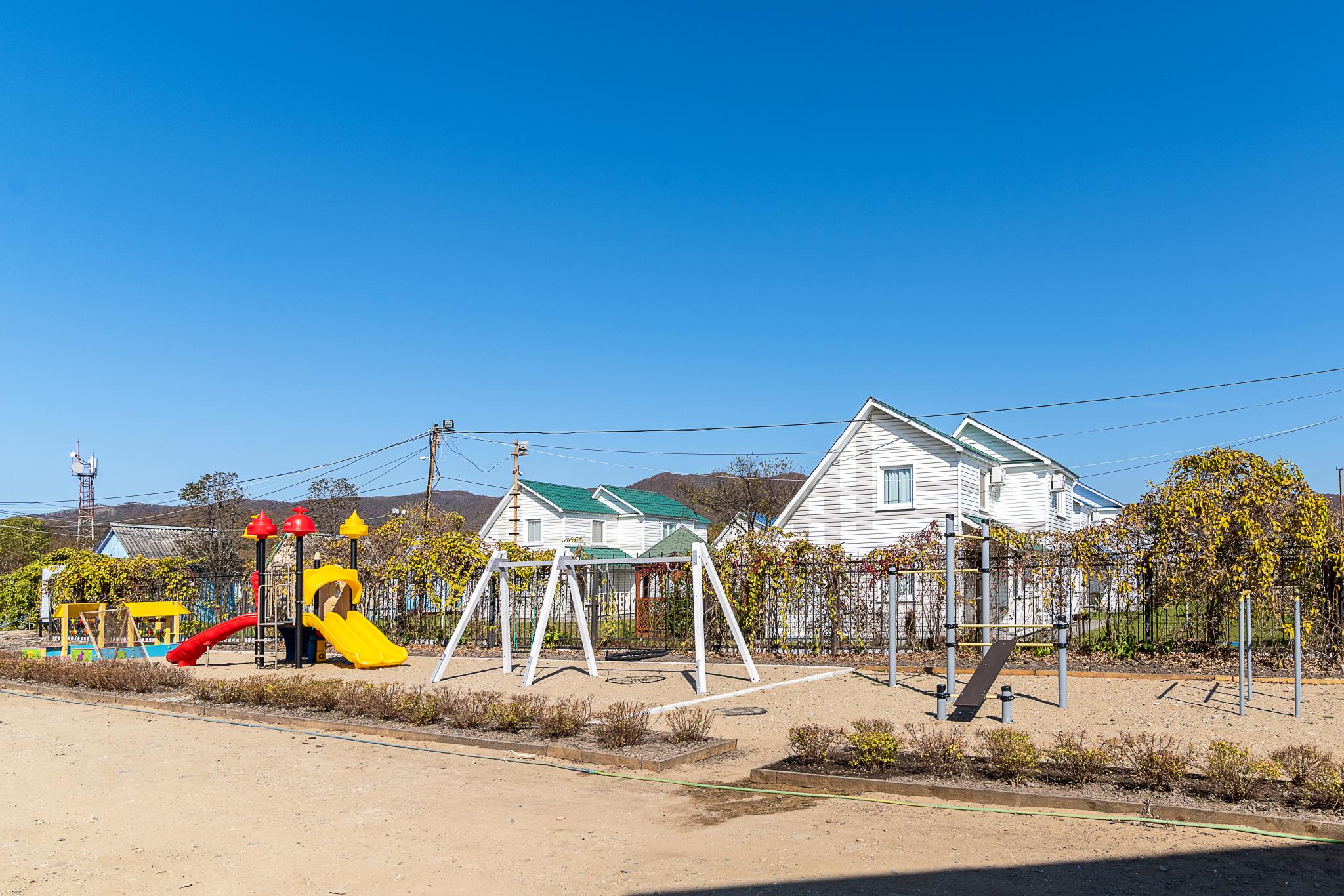 Фото Звезда моря