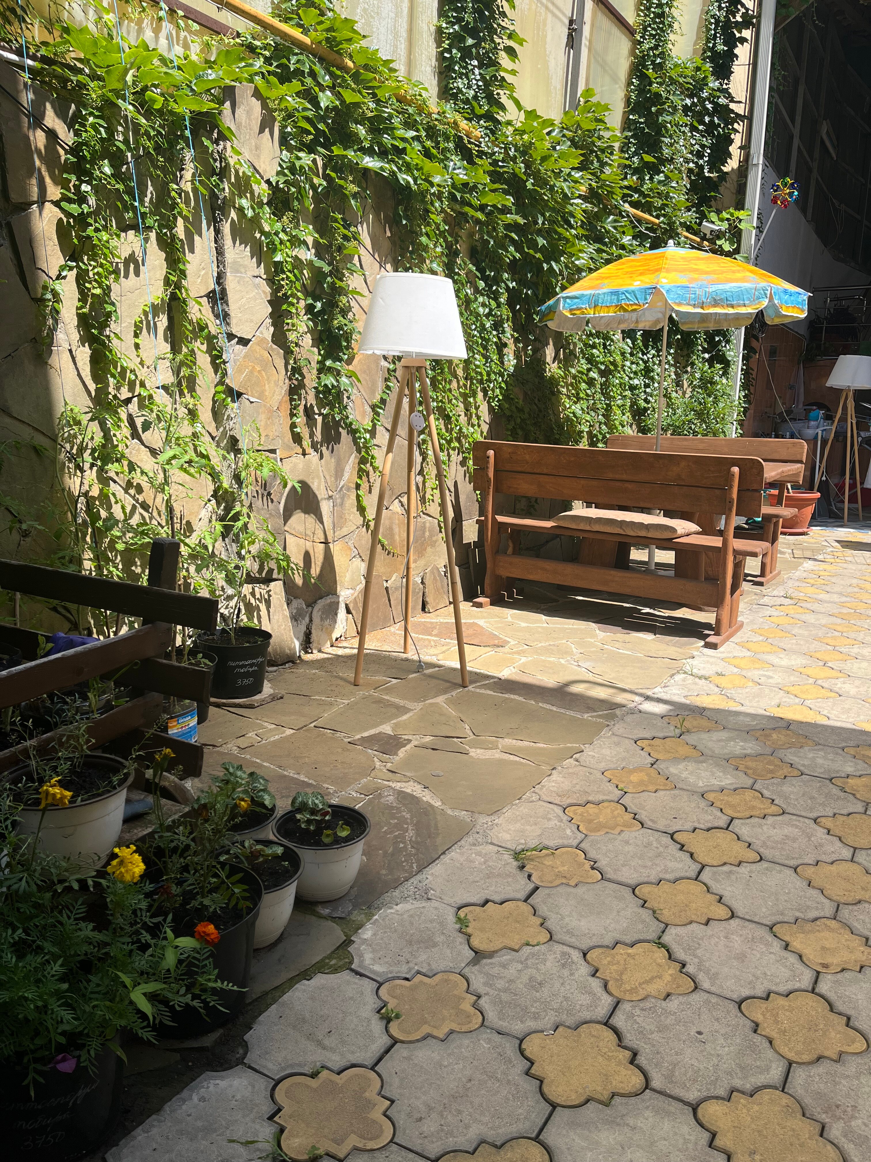 Фото Continental