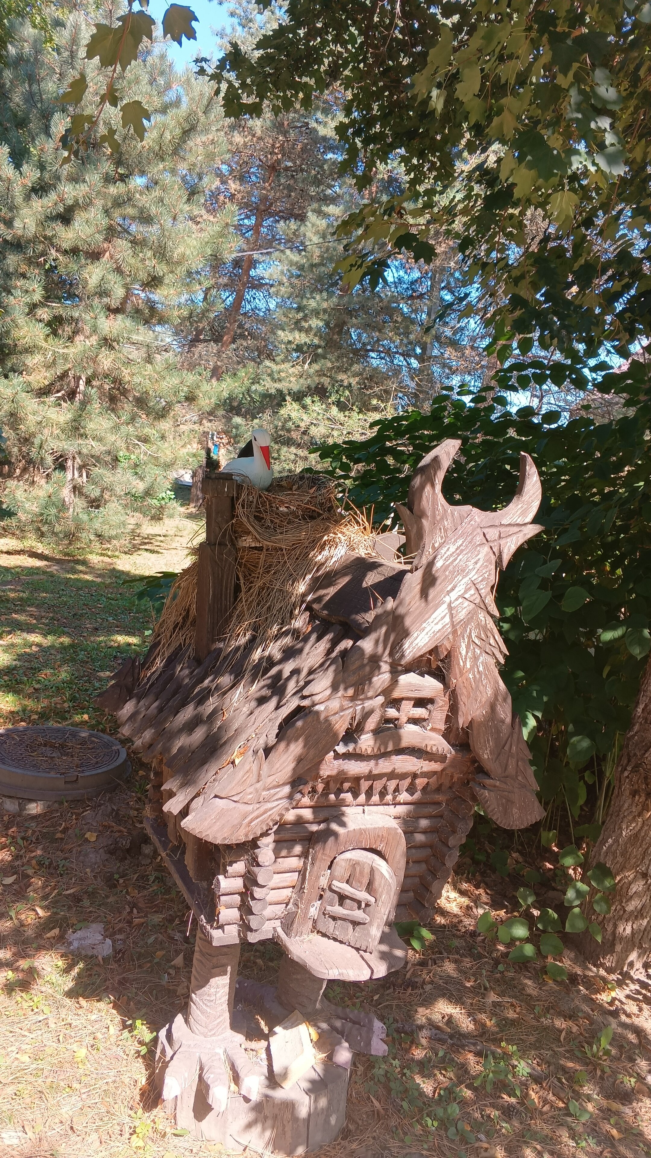 Фото Лукоморье