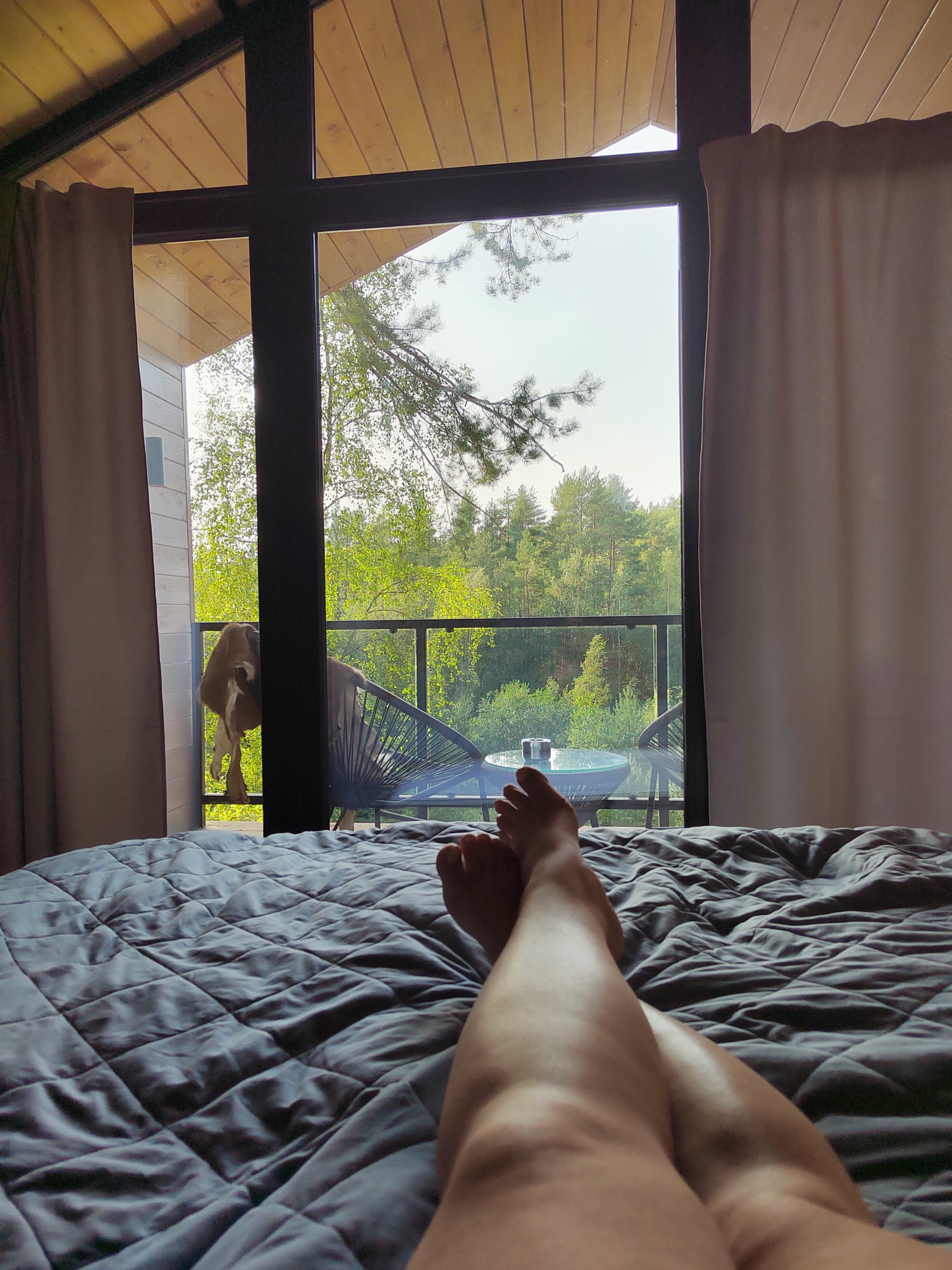 Фото Белые мосты