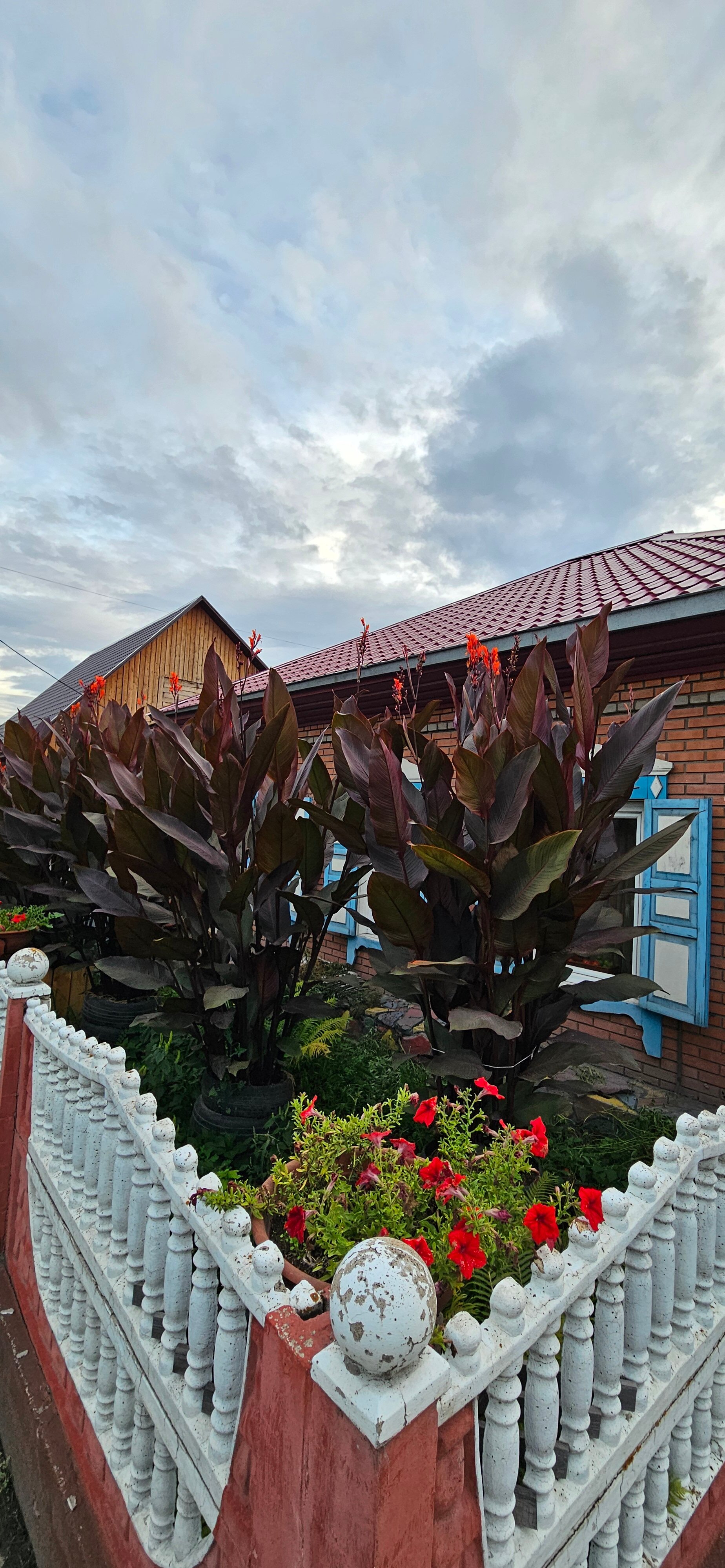 Фото Чалпан