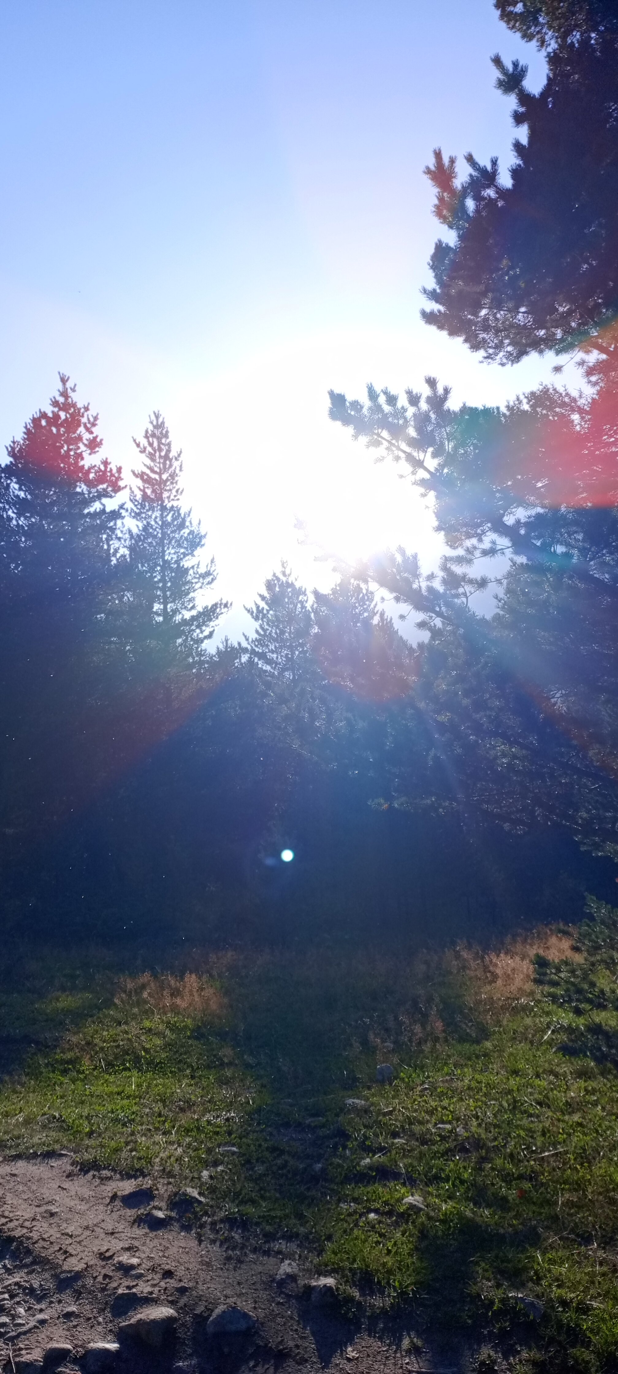 Фото ЧегемТау